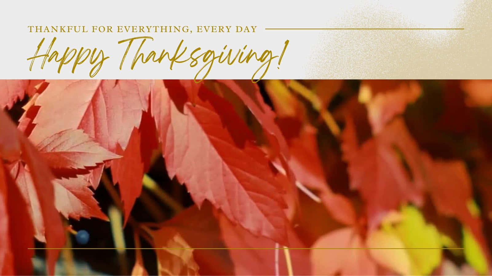 Thanksgiving Zoom Background Thankful For Everything Every Day