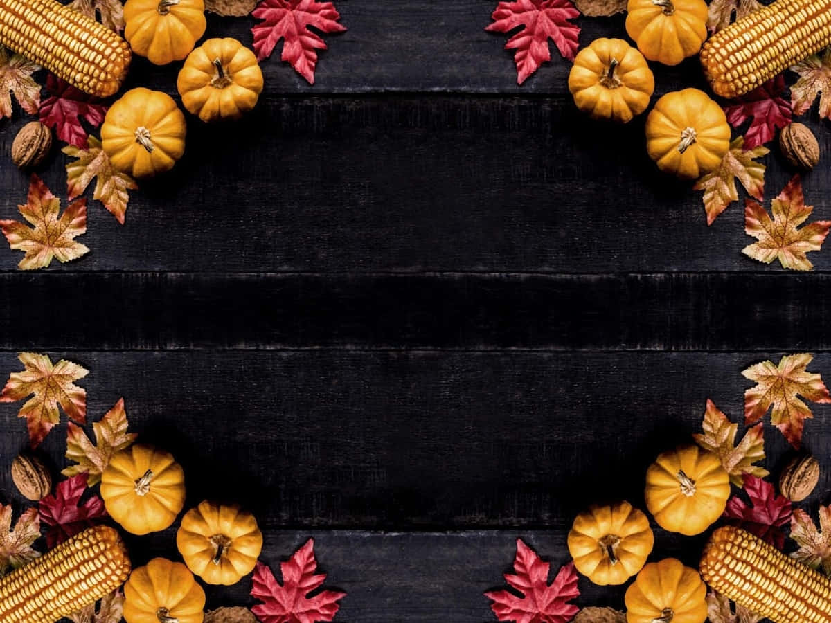 Zoom baggrund til Thanksgiving majsmel, græskar og tørrede blade.