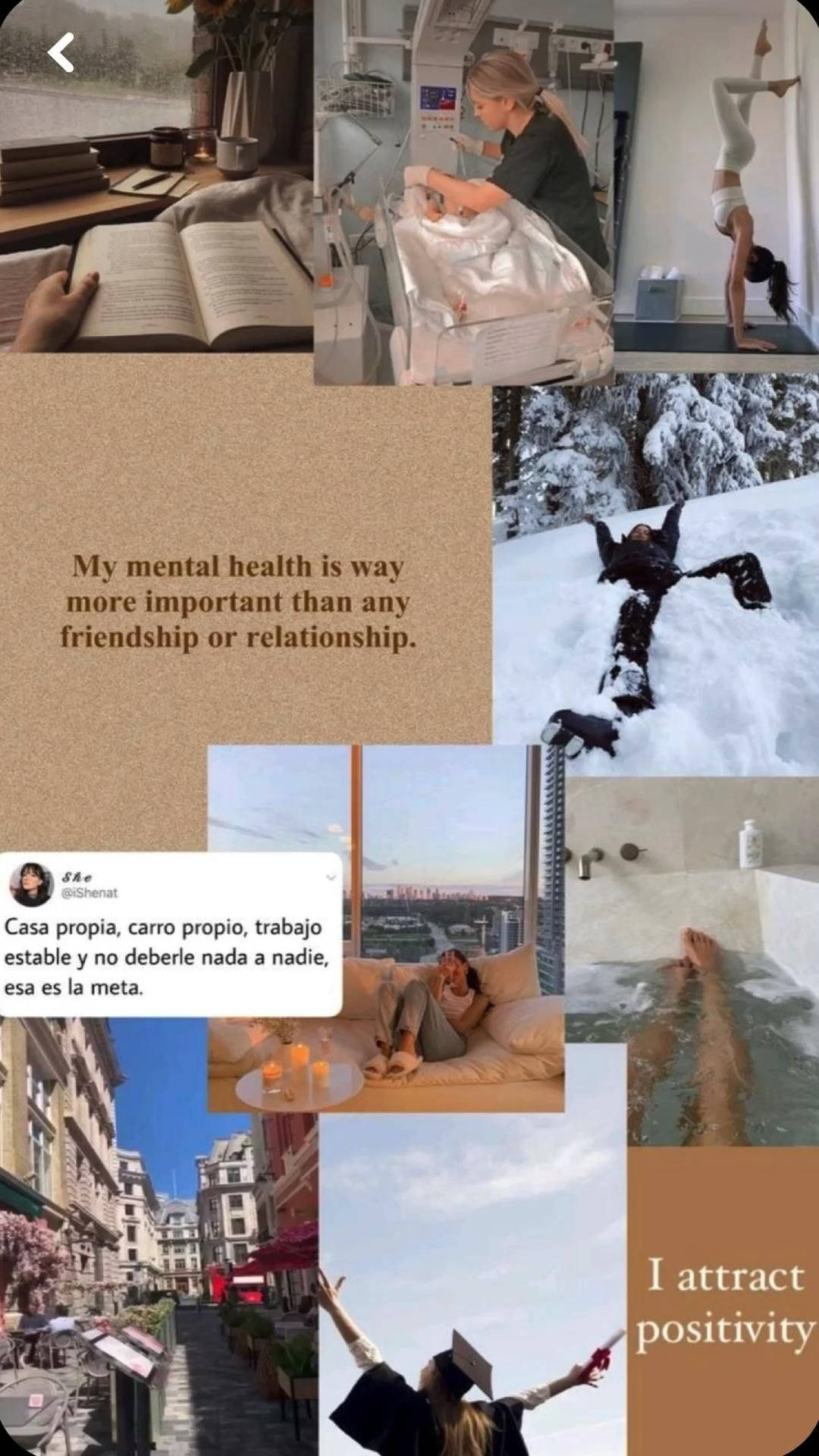 Det Pige Æstetisk Mindfulness Collage Wallpaper