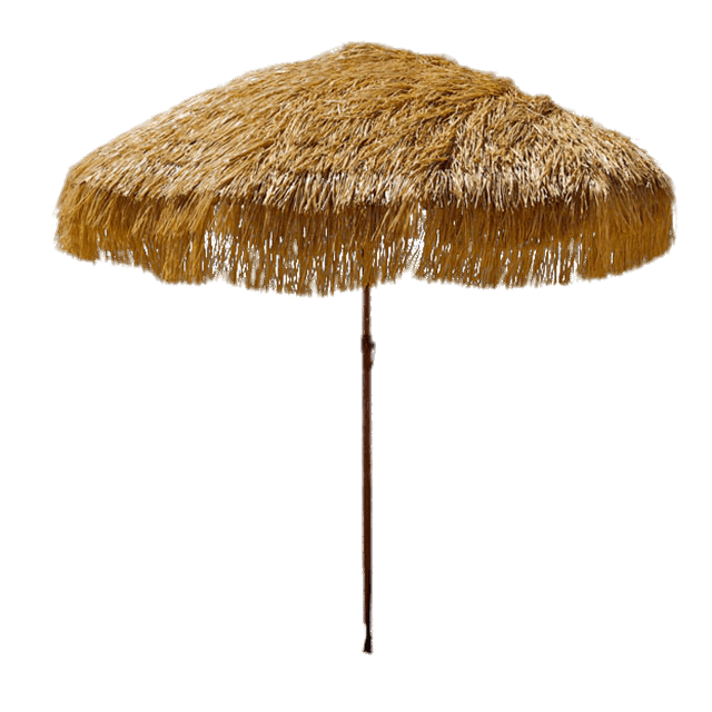 Thatched Beach Umbrella PNG