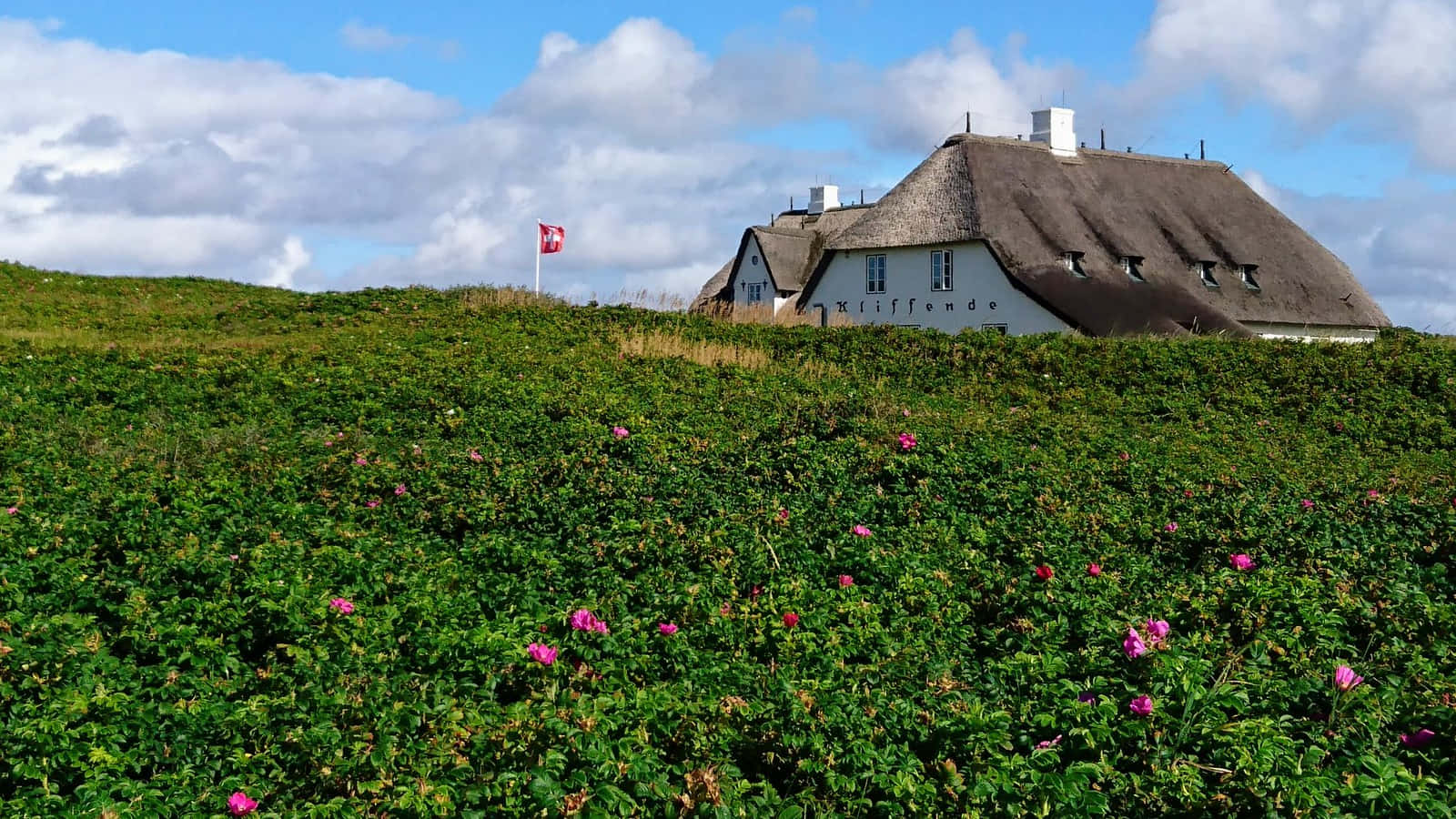 Rieten Dak Huis Achter Groenery Kampen Achtergrond