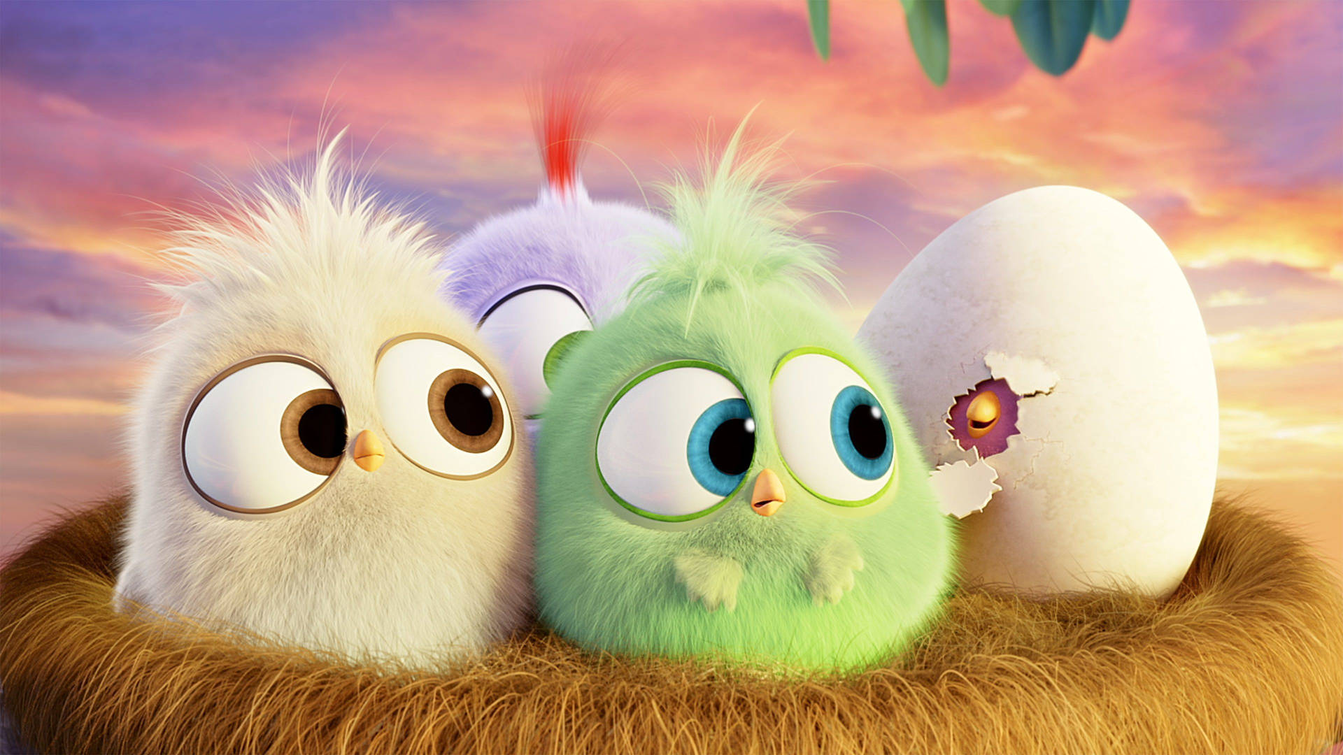The Angry Birds Movie 2 Adorable Chicks Wallpaper