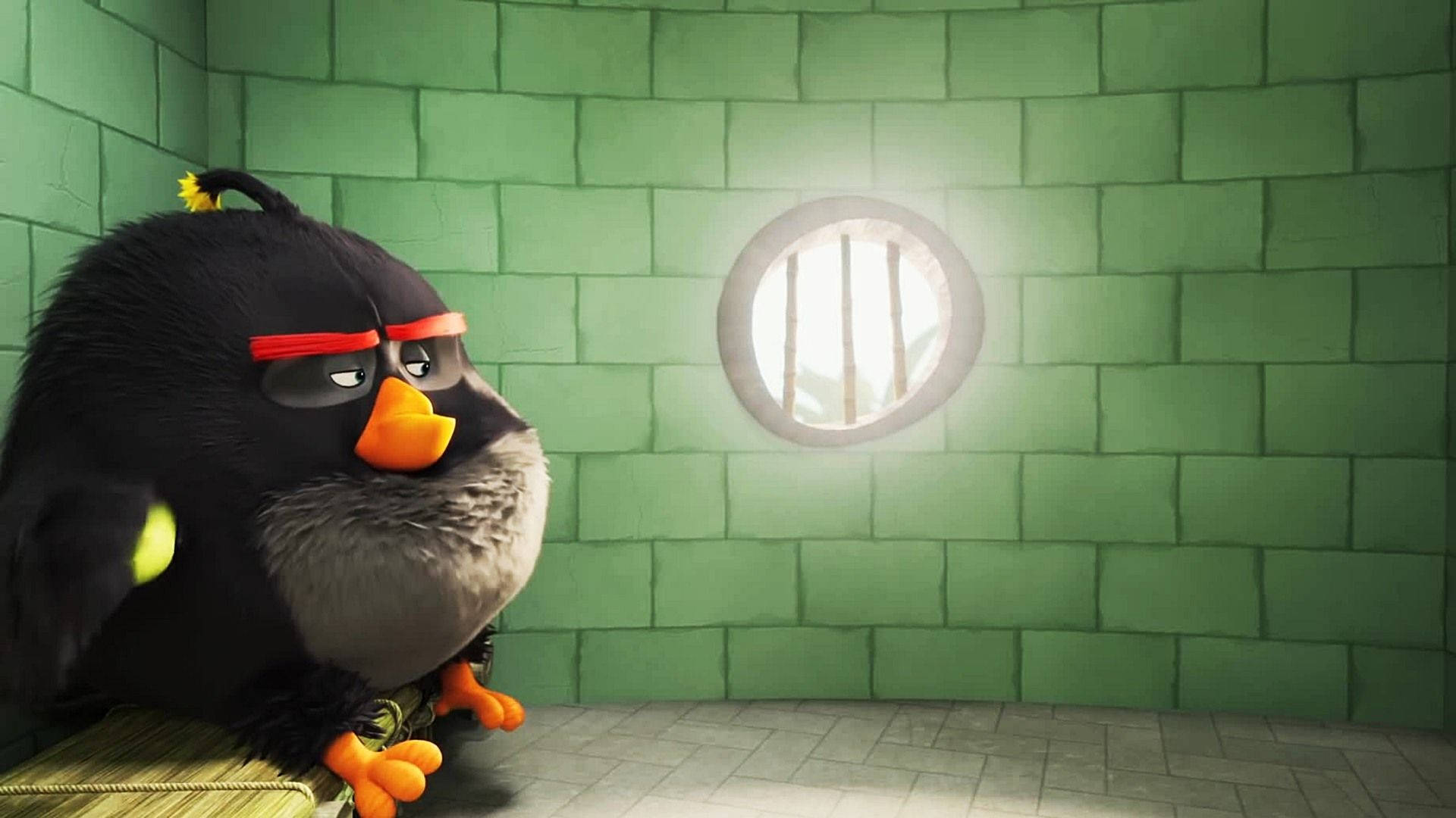 The Angry Birds Movie 2 Bomb Alone Wallpaper