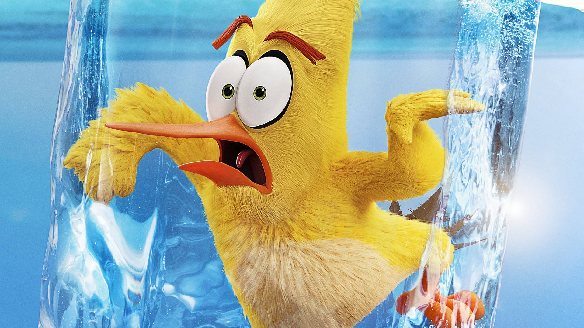 The Angry Birds Movie 2 Frozen Chuck Wallpaper