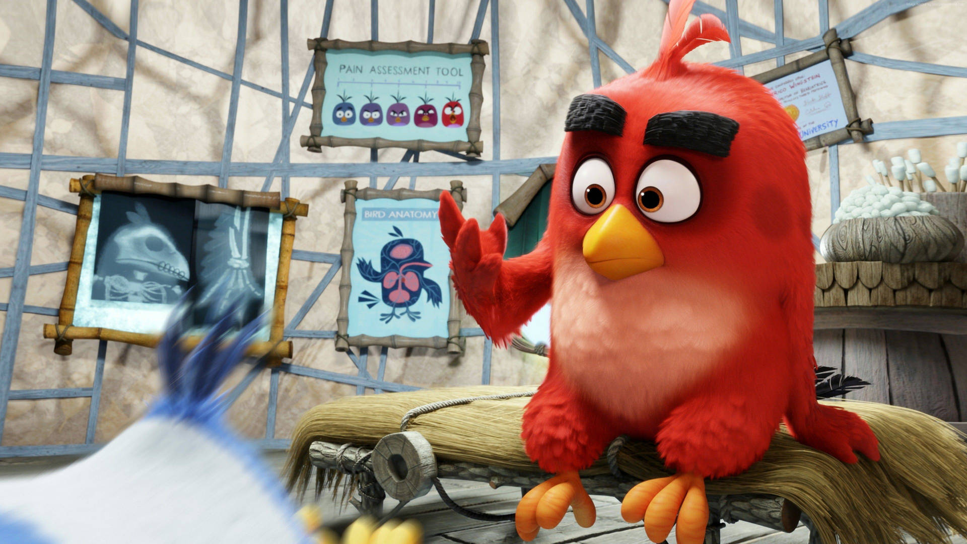 The Angry Birds Movie 2 Red Teaching Wallpaper