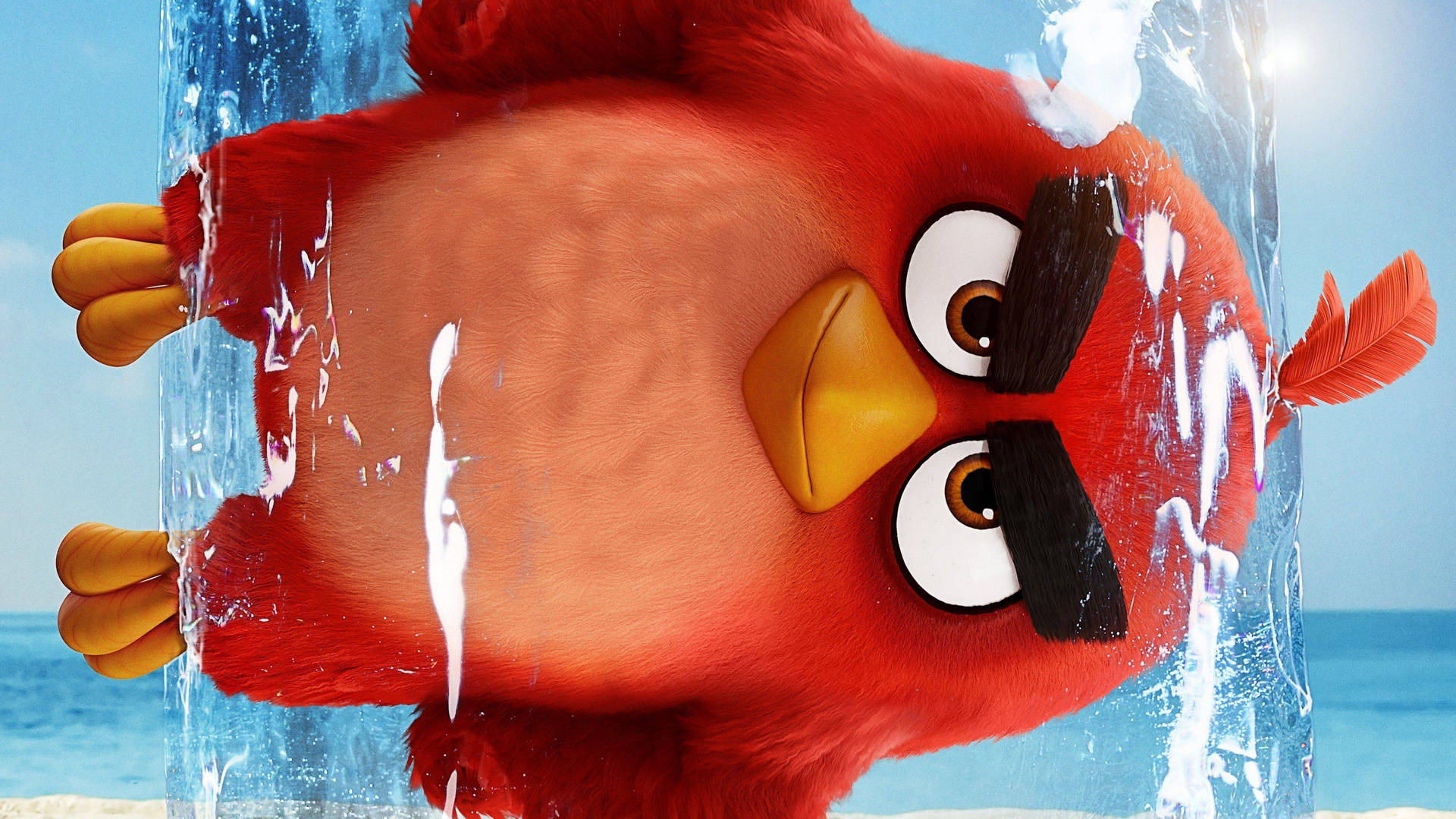 The Angry Birds Movie 2 Red Wallpaper