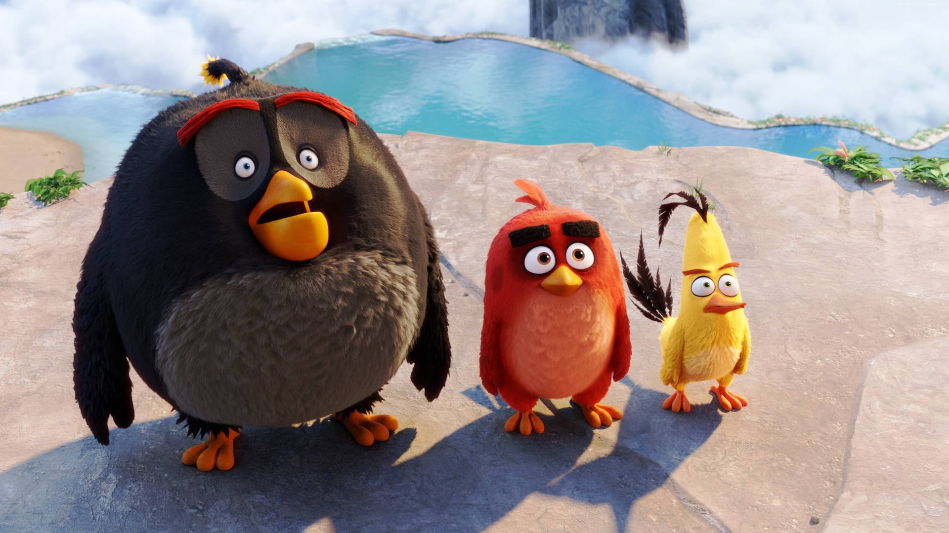 The Angry Birds Movie 2 Surprised Wallpaper