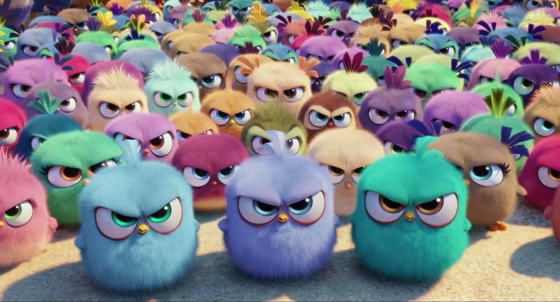 The Angry Birds Movie Featuring Angry Hatchlings Wallpaper