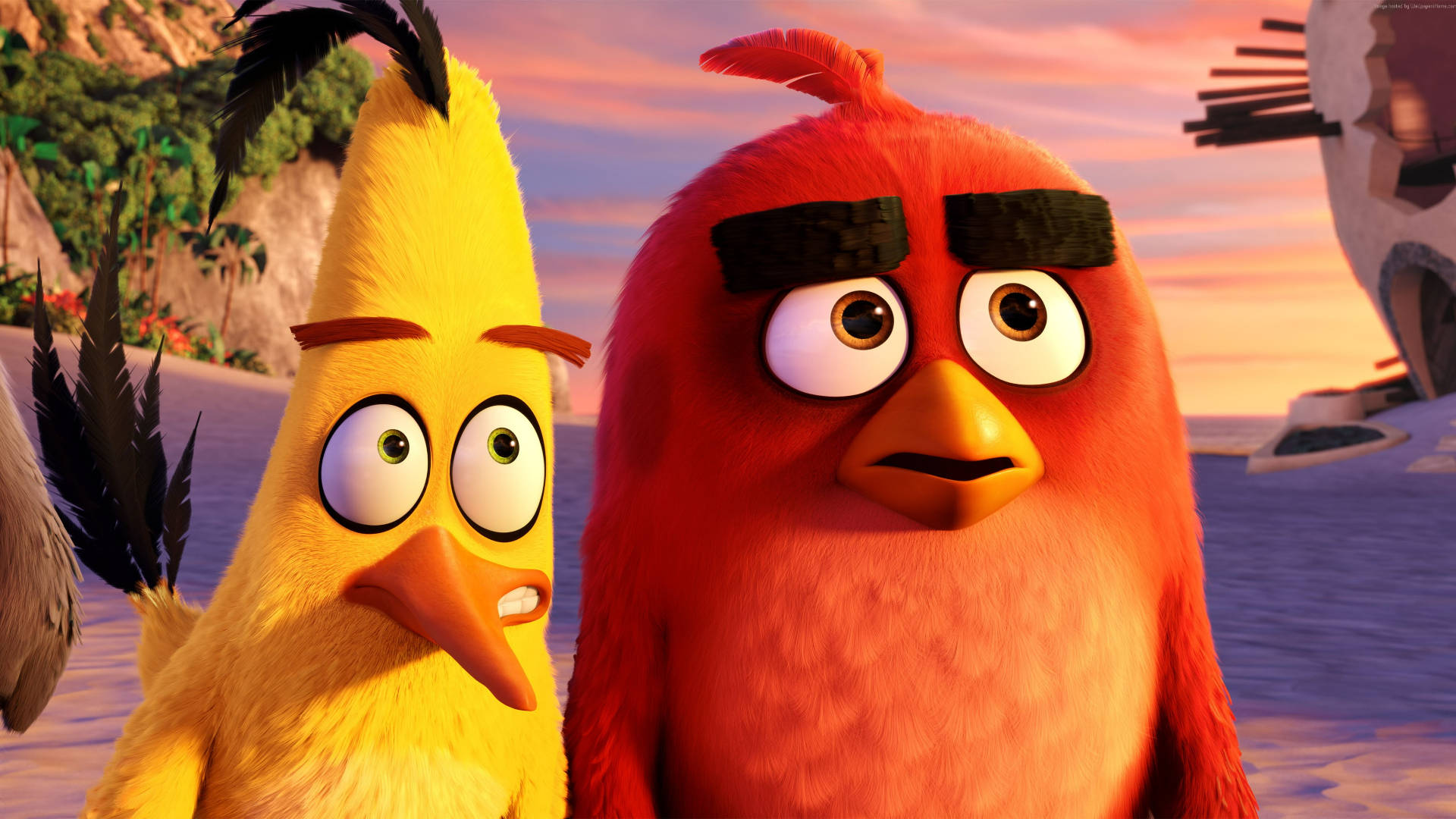 The Angry Birds Movie Featuring Chuck And Red Wallpaper