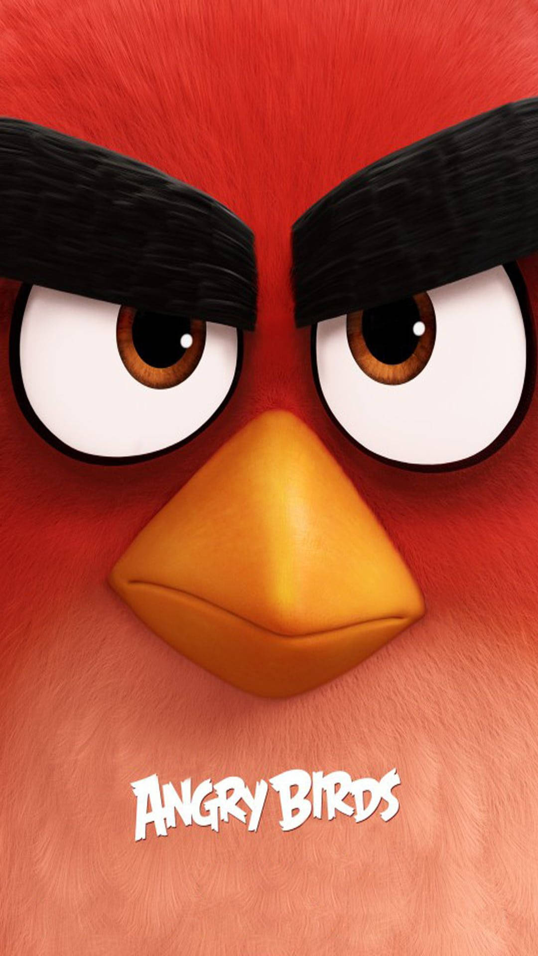 The Angry Birds Movie Poster Featuring Red Wallpaper