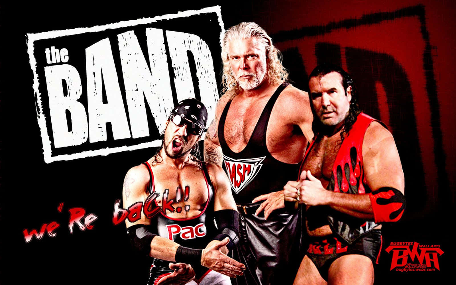 The Band With Kevin Nash Wallpaper