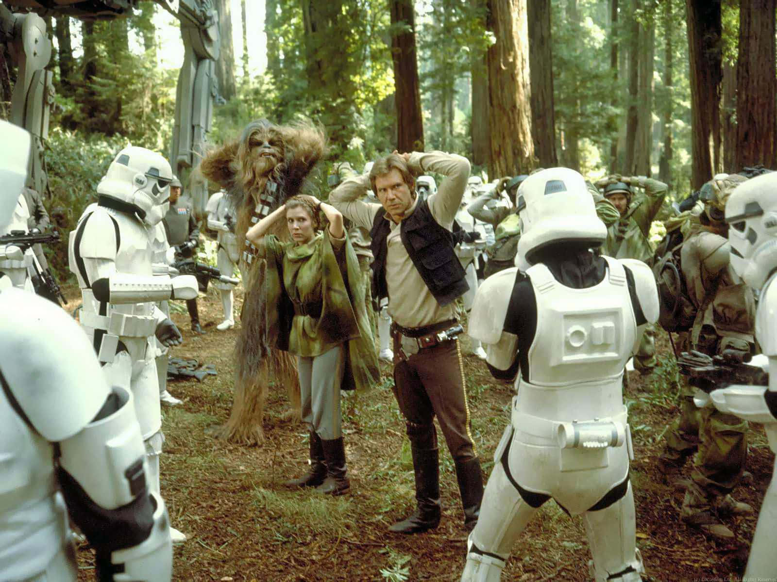 Rebels Prepare to Fight Imperial Forces at the Battle Of Endor Wallpaper