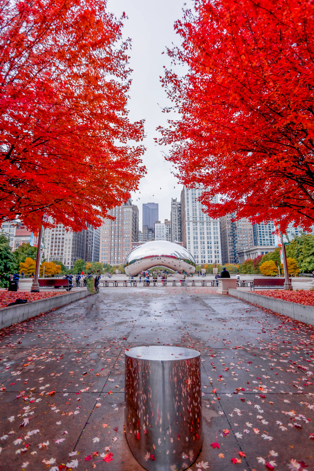 The Bean Chicago Red Leaves Wallpaper