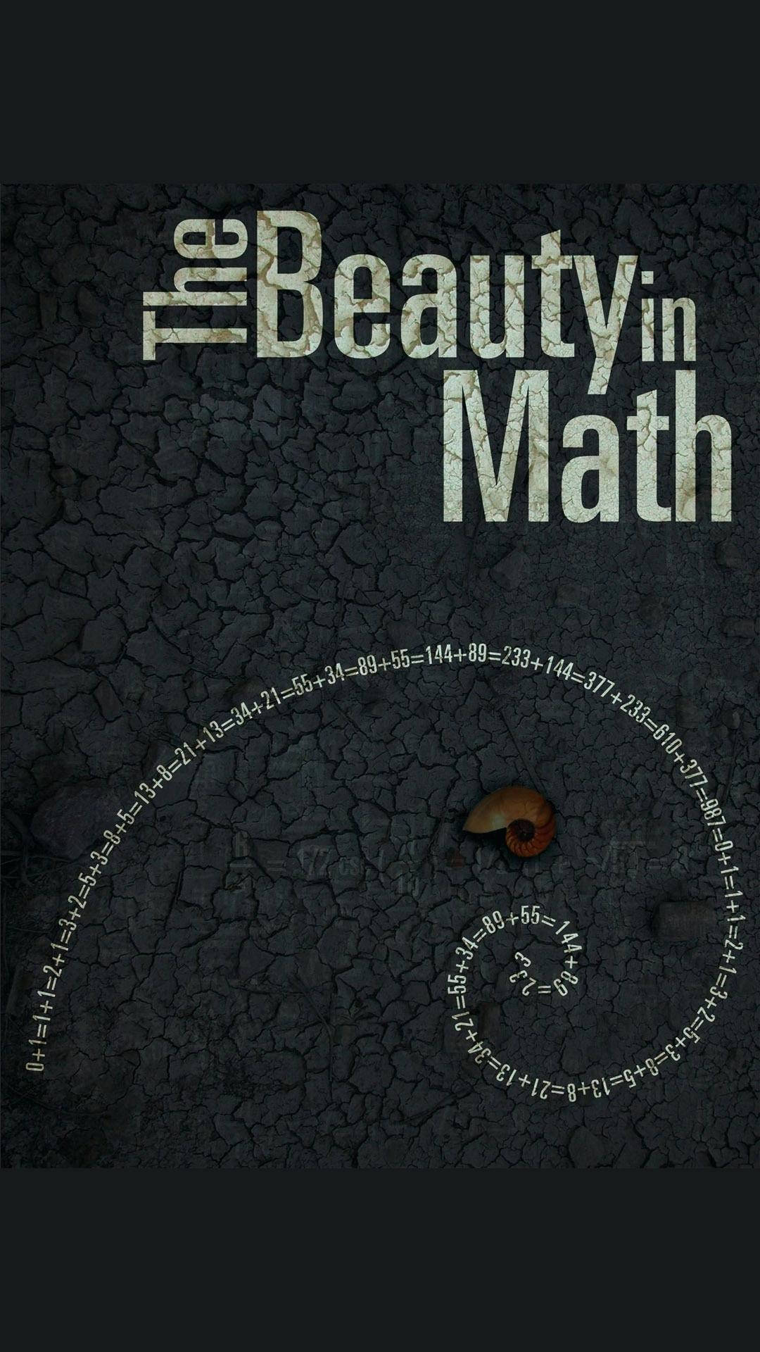 The Beauty In Math Cover