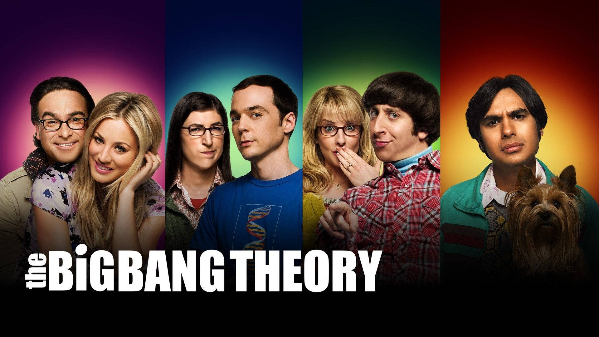 The Big Bang Theory Raj Dog Wallpaper