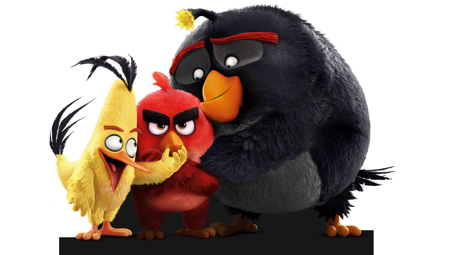 The Bird Trio From The Angry Birds Movie Wallpaper