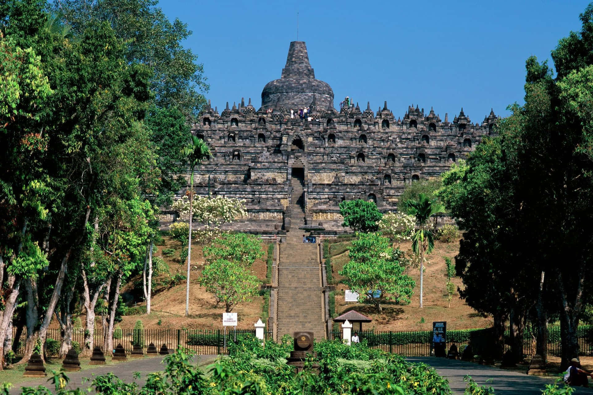 The Borobudur Temple On A Sunny Day Wallpaper