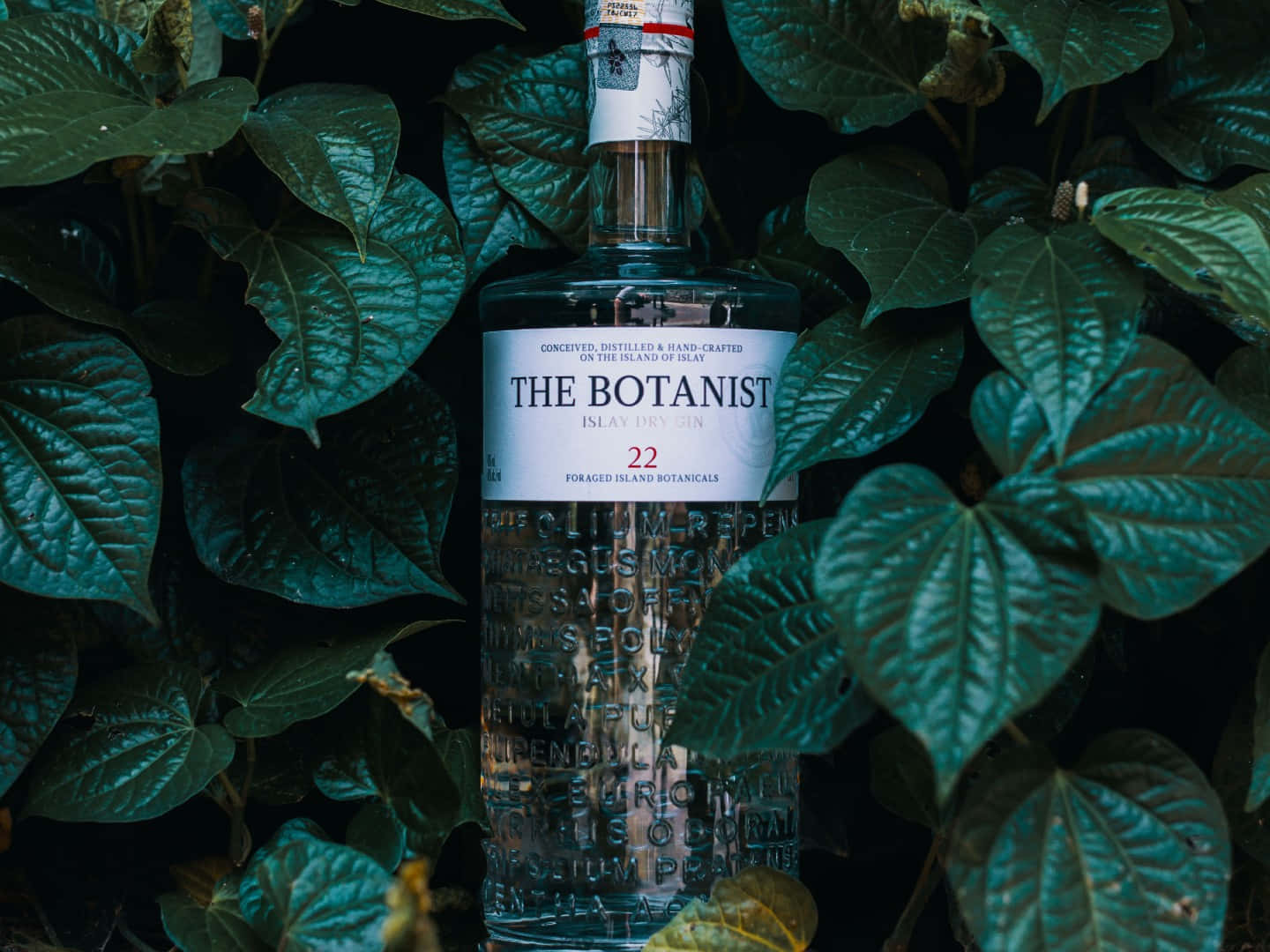 The Botanist Islay Dry Gin Alcoholic Drink And Betel Leaves Wallpaper
