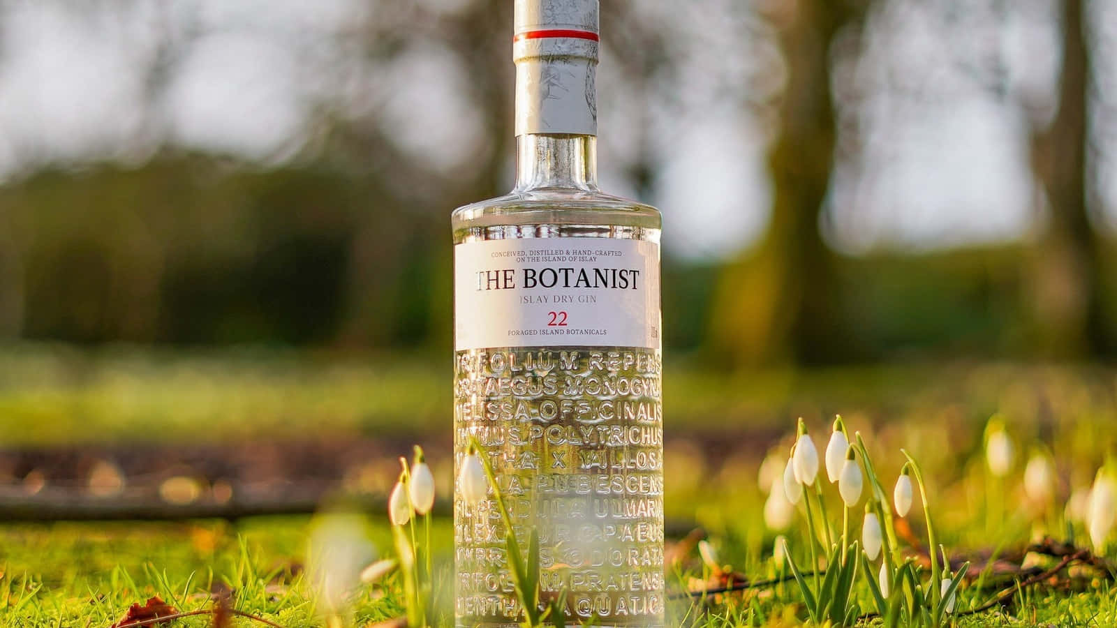 The Botanist Islay Dry Gin Alcoholic Drink And Snowdrop Flowers Wallpaper