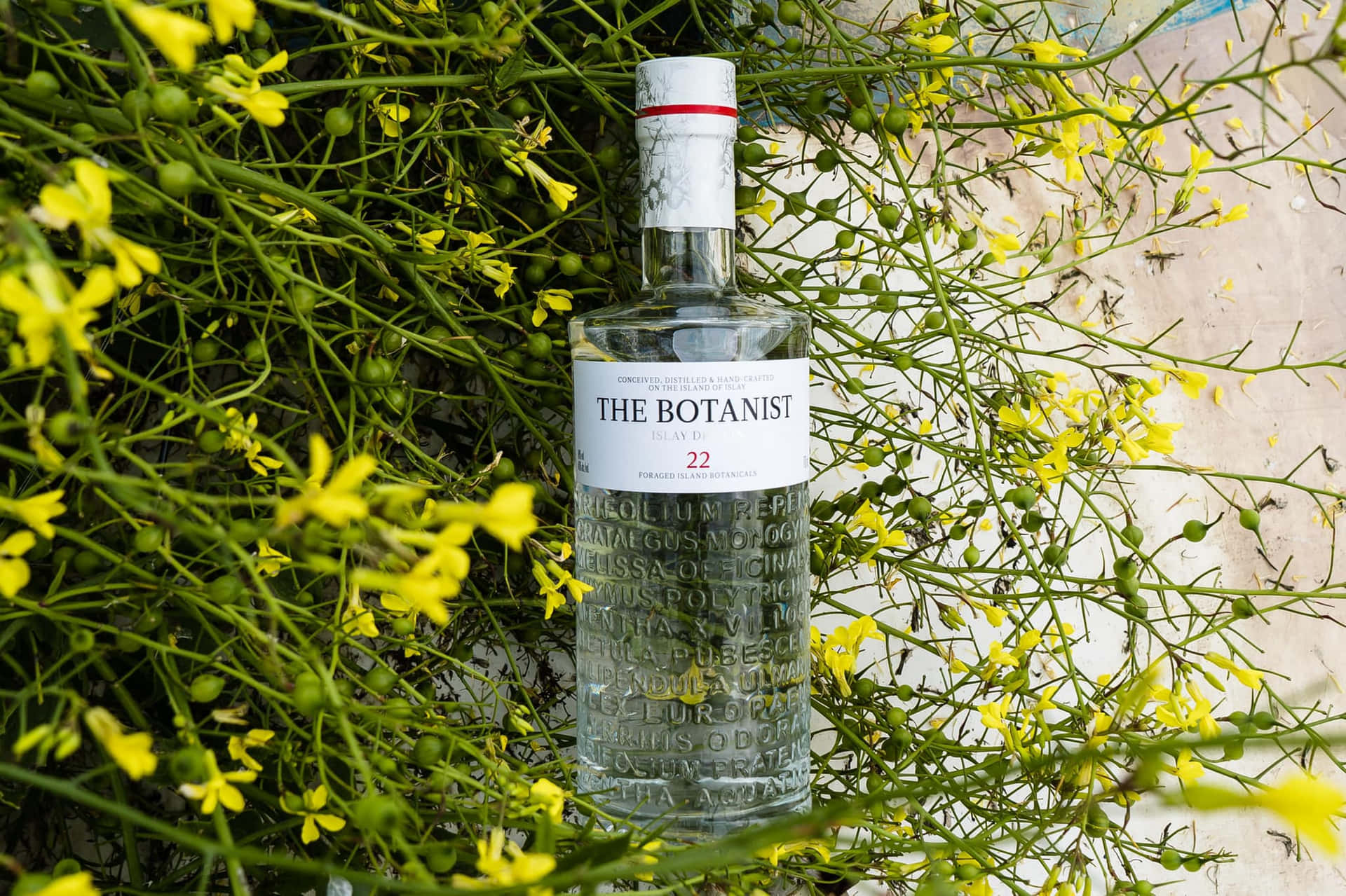 The Botanist Islay Dry Gin Alcoholic Drink And Winter Jasmine Wallpaper
