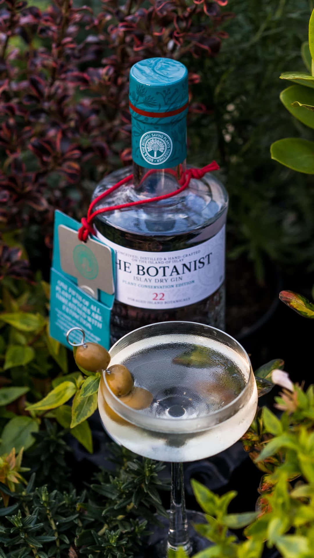 The Botanist Islay Dry Gin Alcoholic Drink With Tag Wallpaper