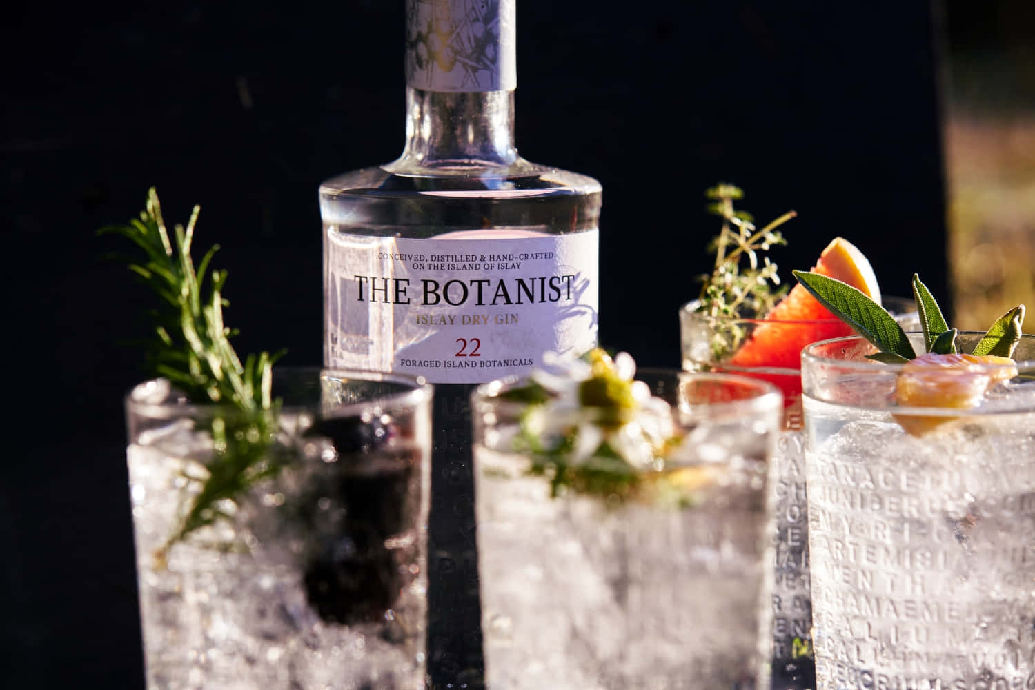 The Botanist Islay Dry Gin Drink Fruits And Cocktails Wallpaper