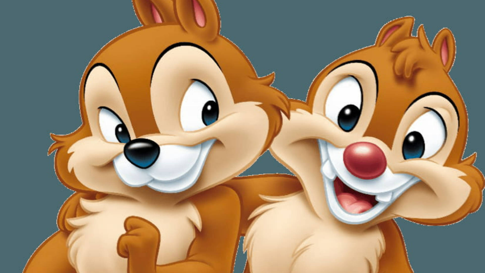 The Brotherhood Of Chip N Dale Rescue Rangers Background