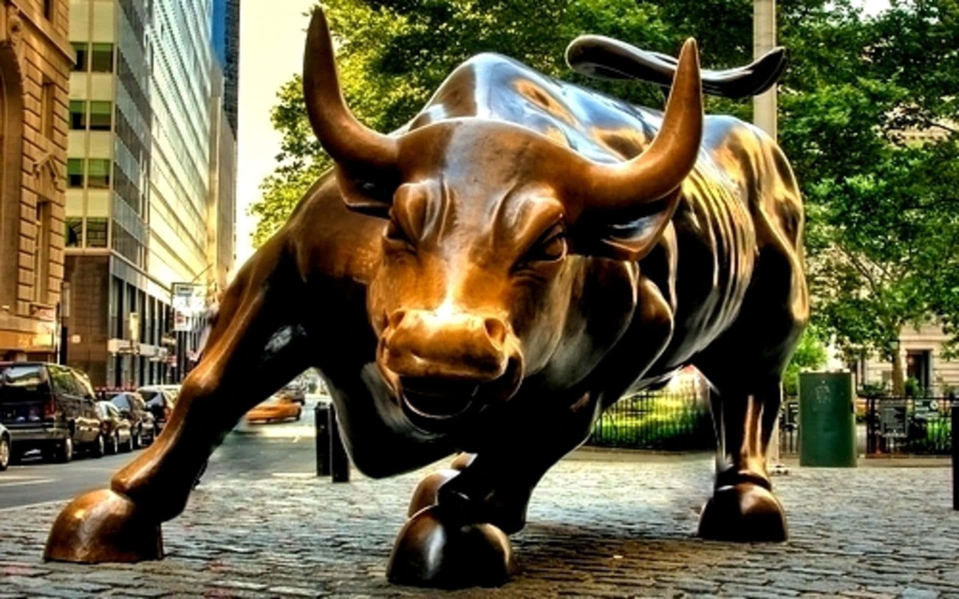 The Bull Has Been Unleashed - Bull Market Wallpaper