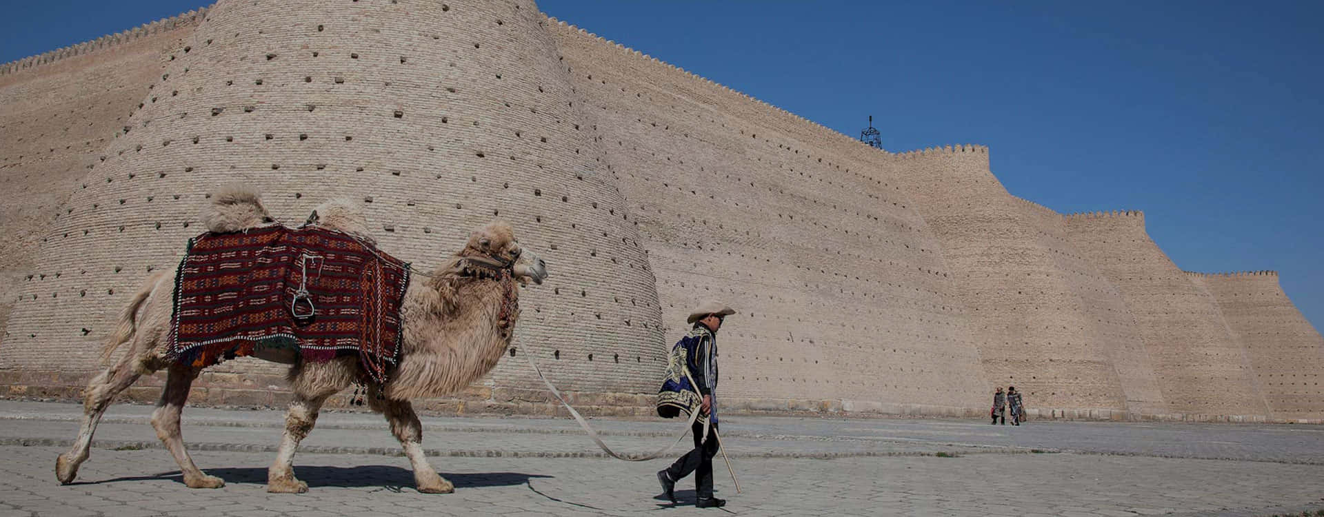 The Camels Of Bukhara Wallpaper