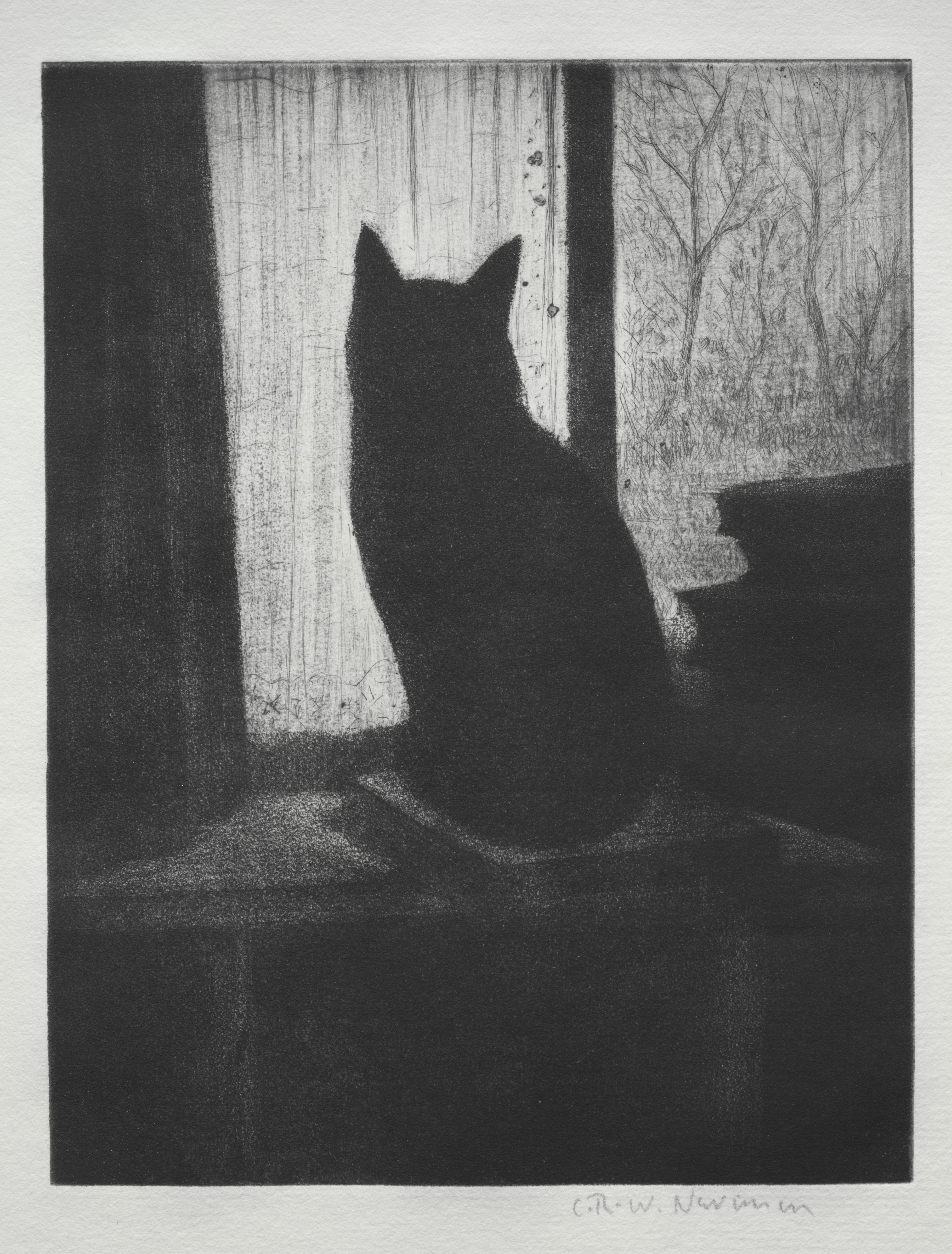 The Cat Wallpaper
