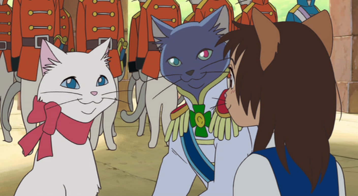 Elregreso Del Gato - Película De Anime De Studio Ghibli. Fondo de pantalla