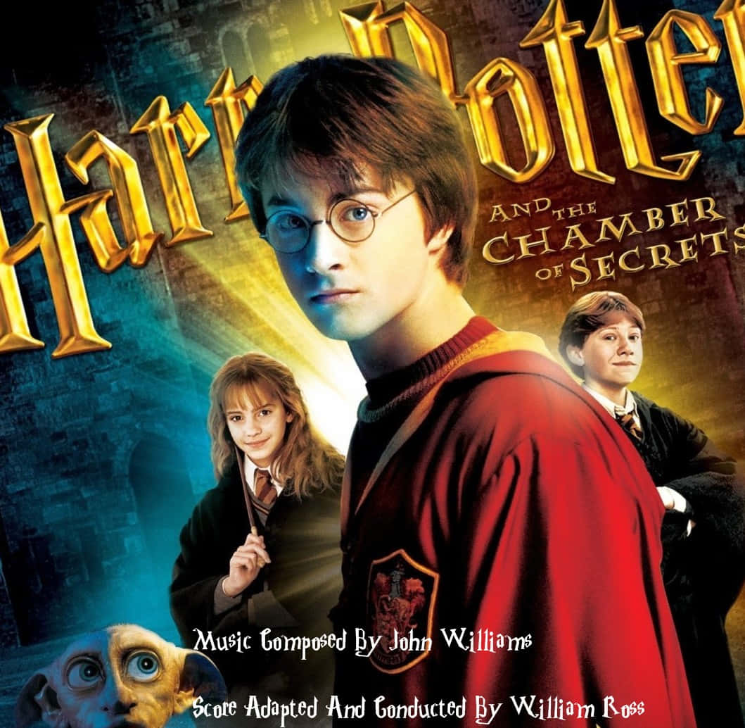 Harry Potter exploring the dangerous Chamber of Secrets Wallpaper