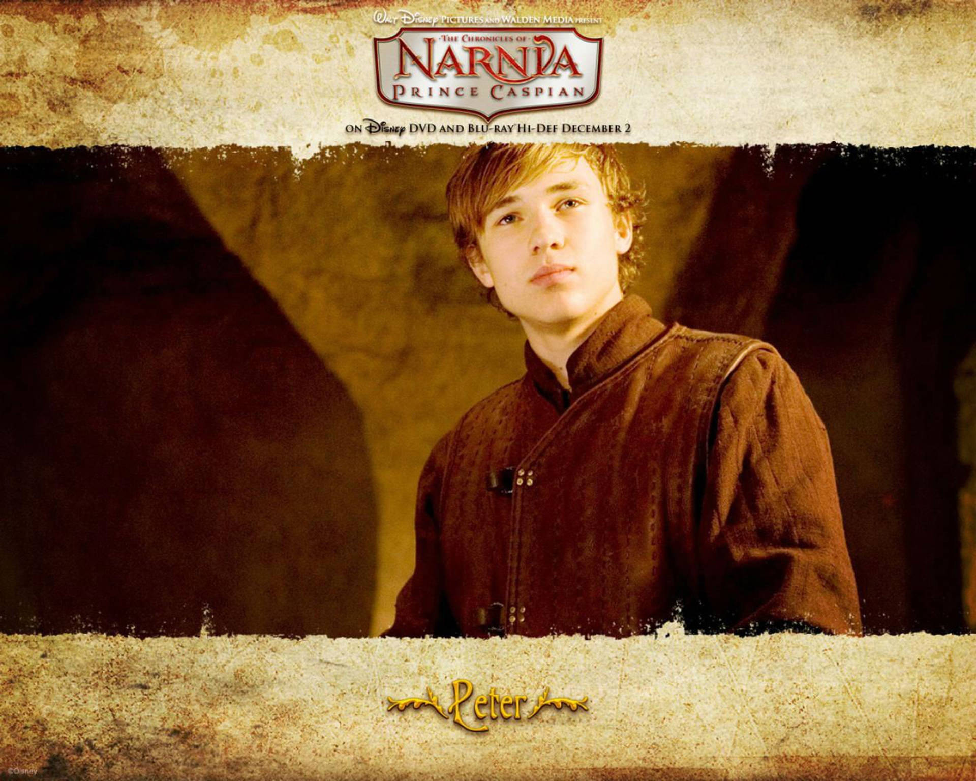 The Chronicles Of Narnia Peter Pevensie Wallpaper