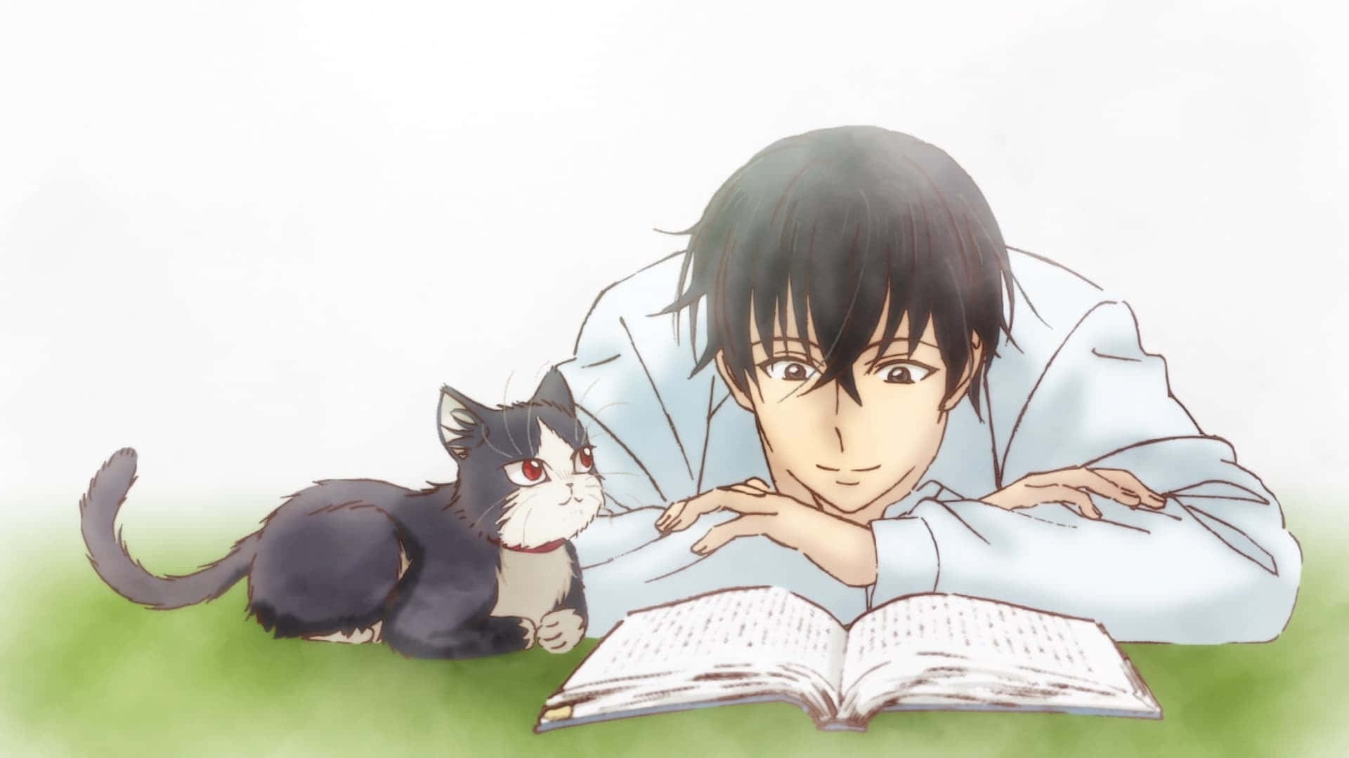 The Cozy Bonding Moment Of A Boy And His Cat Wallpaper