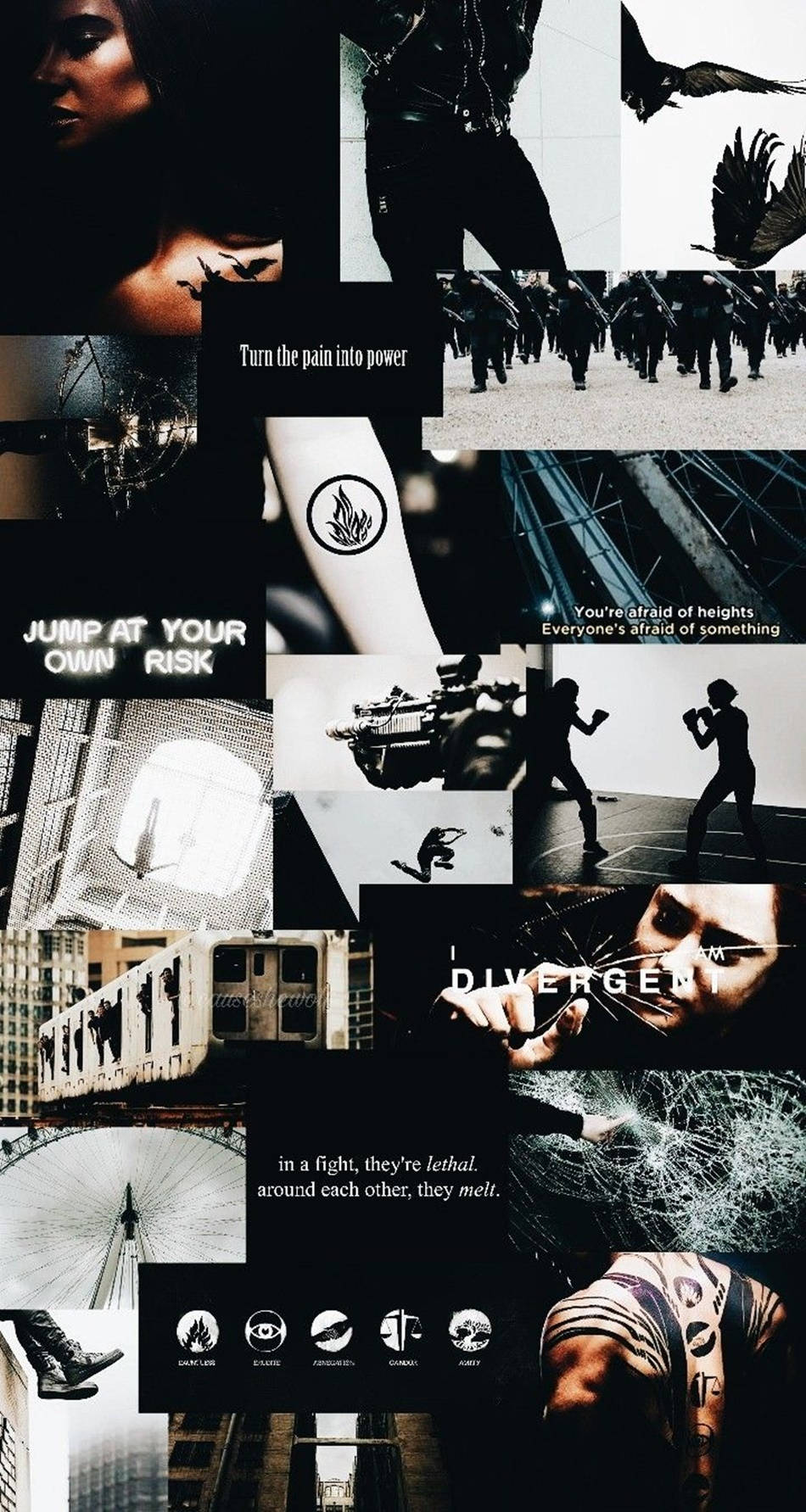 The Divergent Series Trilogy Compilation Wallpaper
