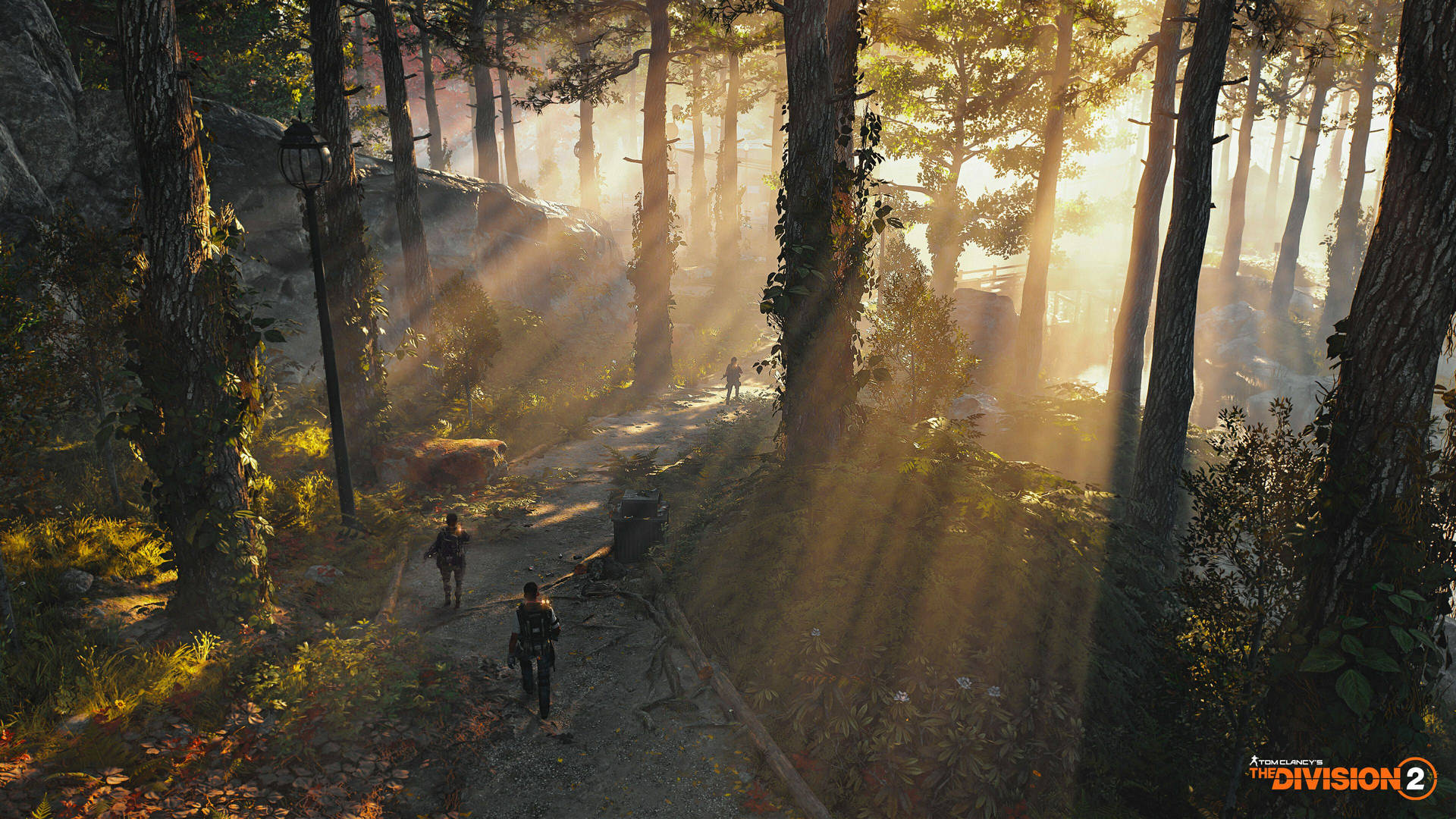The Division 2 In Forest