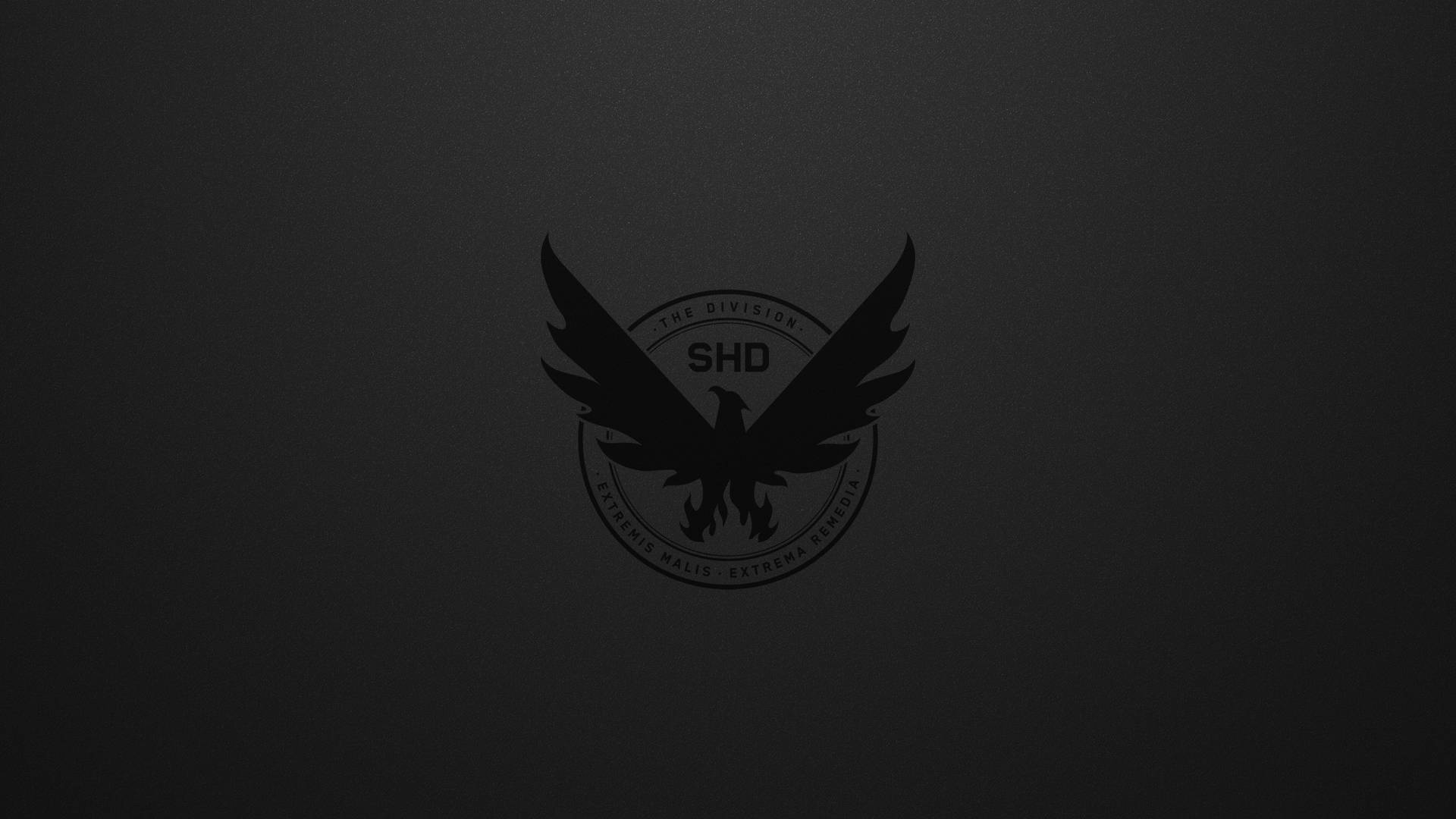 Den Division 4K Dark Eagle tapet giver din skærm et mystisk udseende. Wallpaper