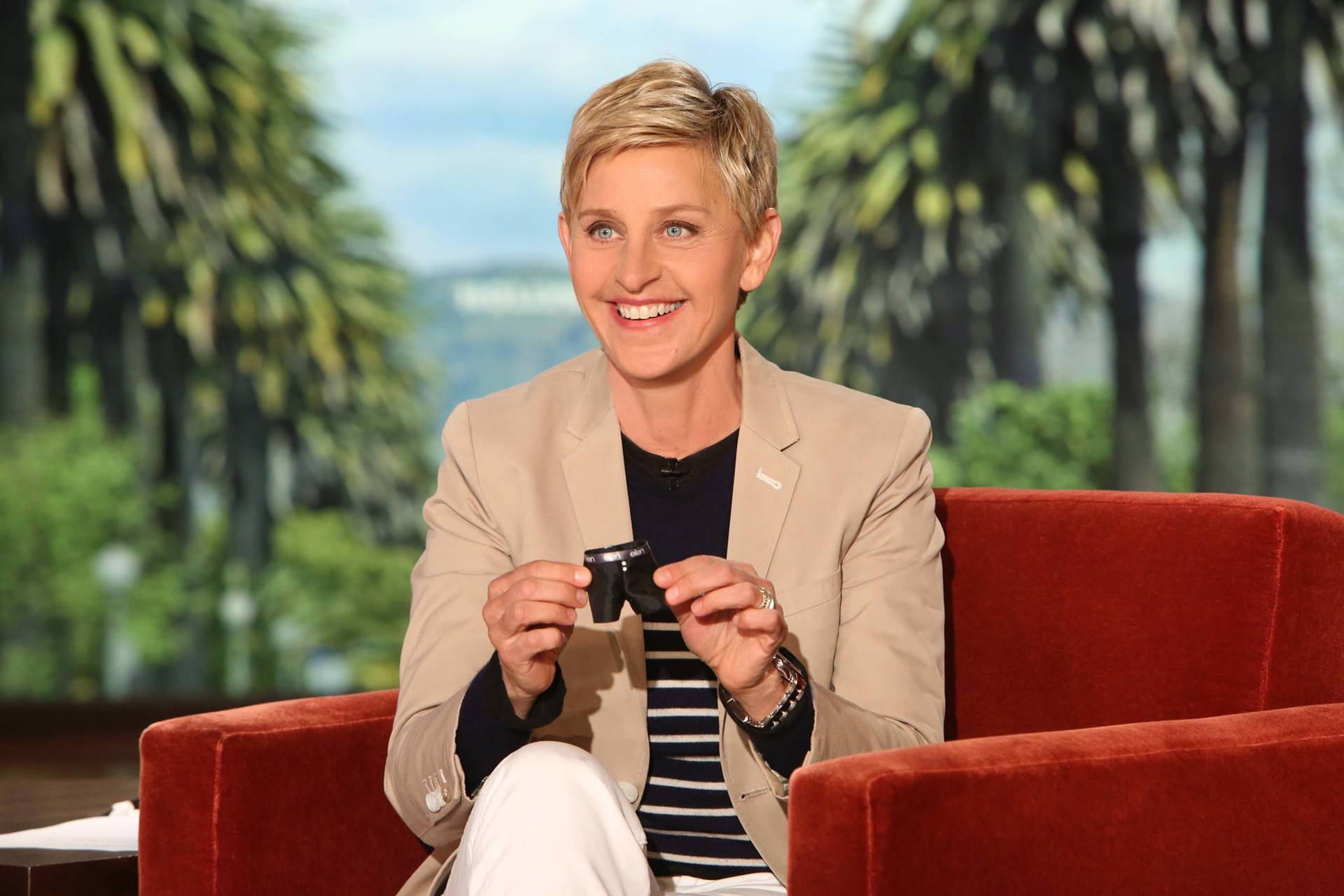 The Ellen Show Brown Suit Background