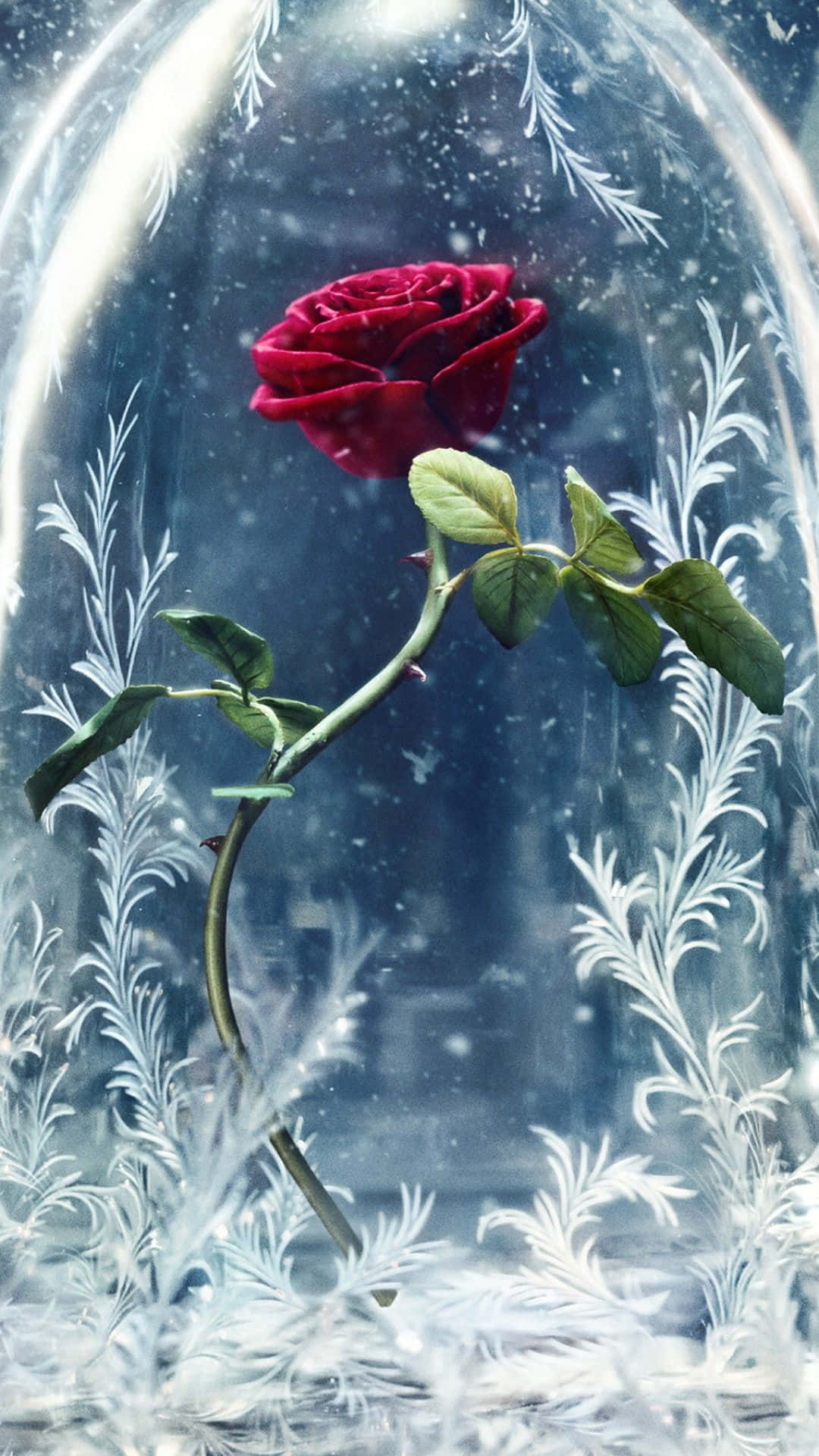 The Enchanted Rose In Beast's Castle
