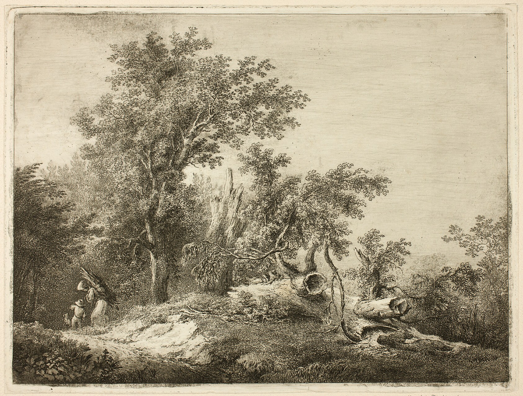 The Fallen Tree Trunk Wallpaper