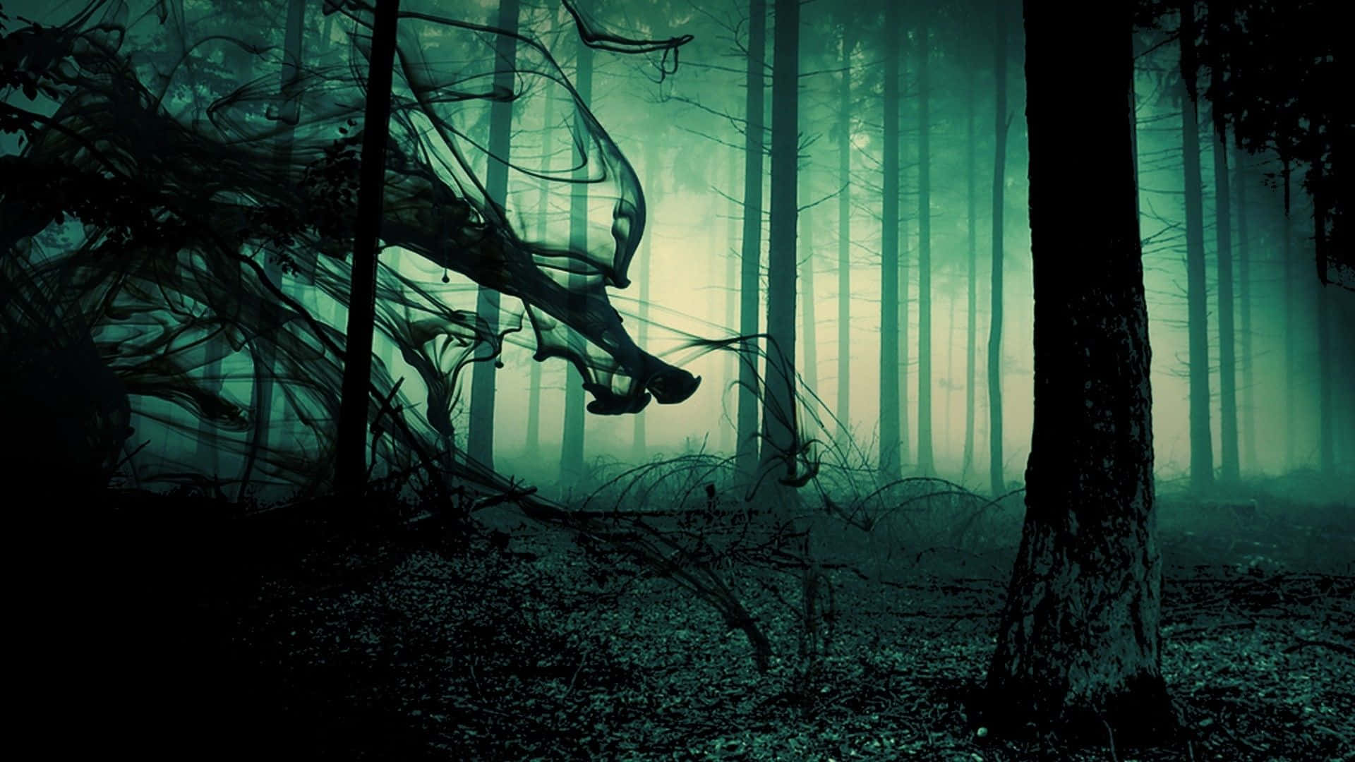 Enter The Forbidden Forest at Your Own Risk Wallpaper