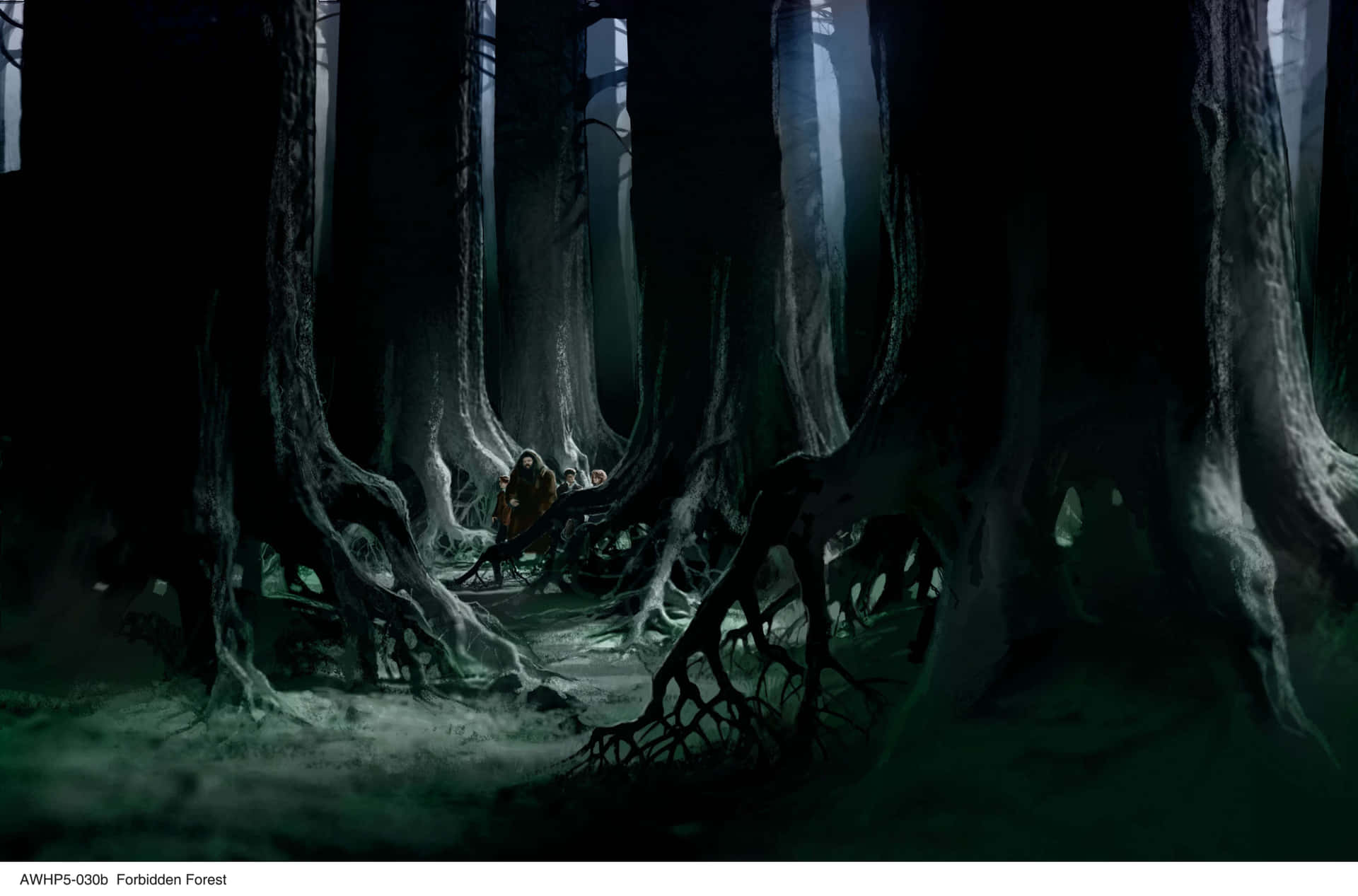 Enter the Forbidden Forest Wallpaper