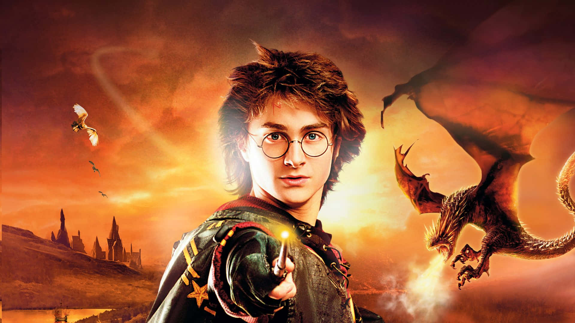 Harry Potter Chosen by The Goblet Of Fire Wallpaper