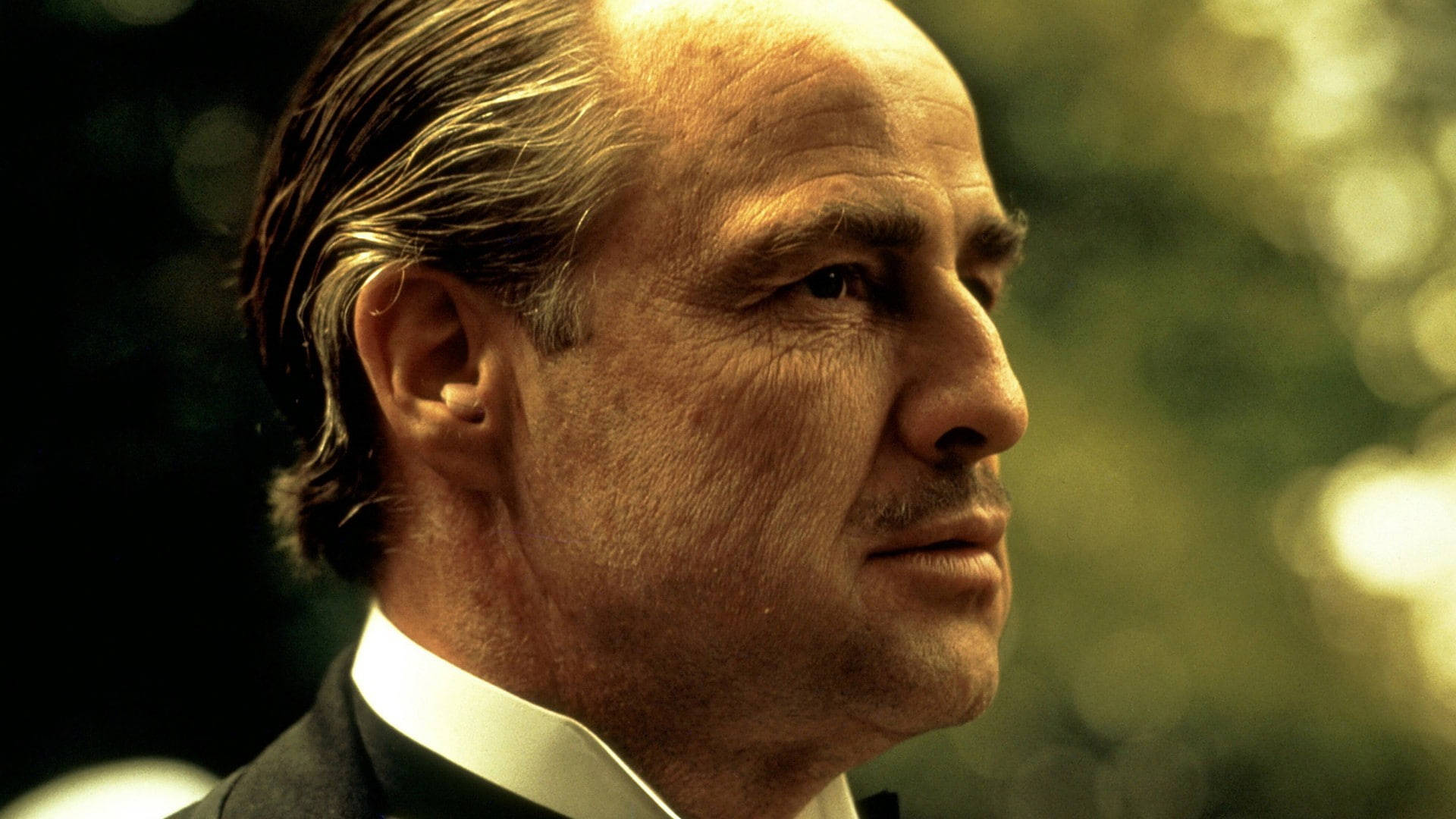Godfather Don Vito Corleone tapet. Wallpaper