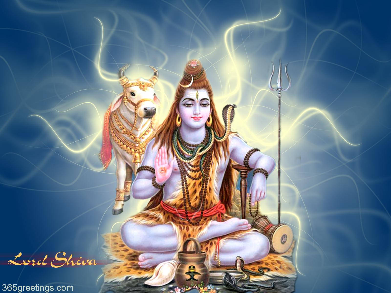 Denstore Herren Shiva Wallpaper