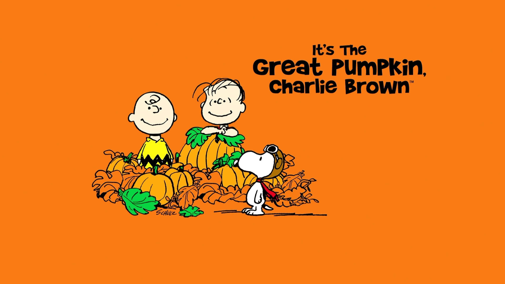 The Great Pumpkin surrounded by a magical atmosphere Wallpaper