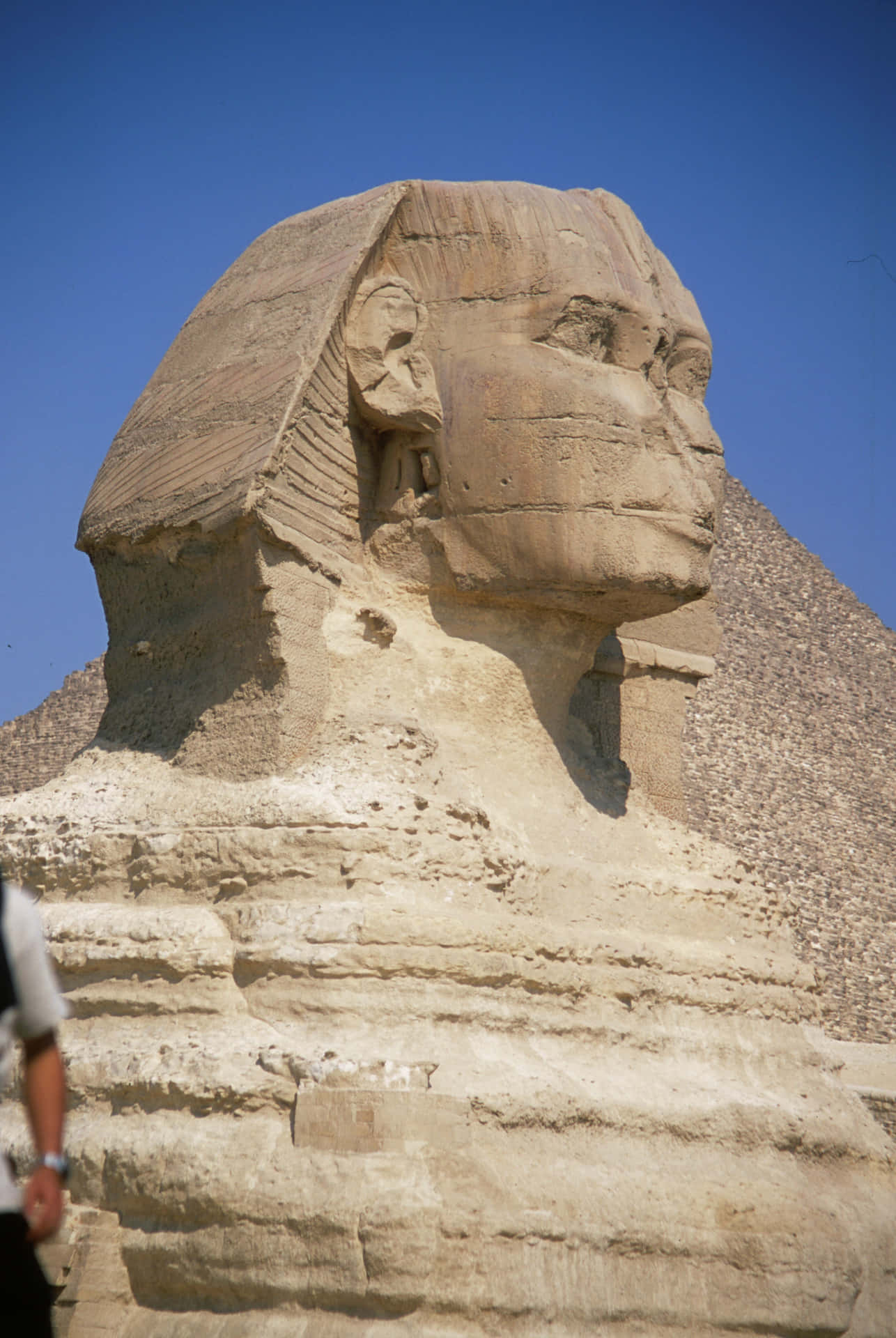 The Great Sphinx Of Egypt Wallpaper
