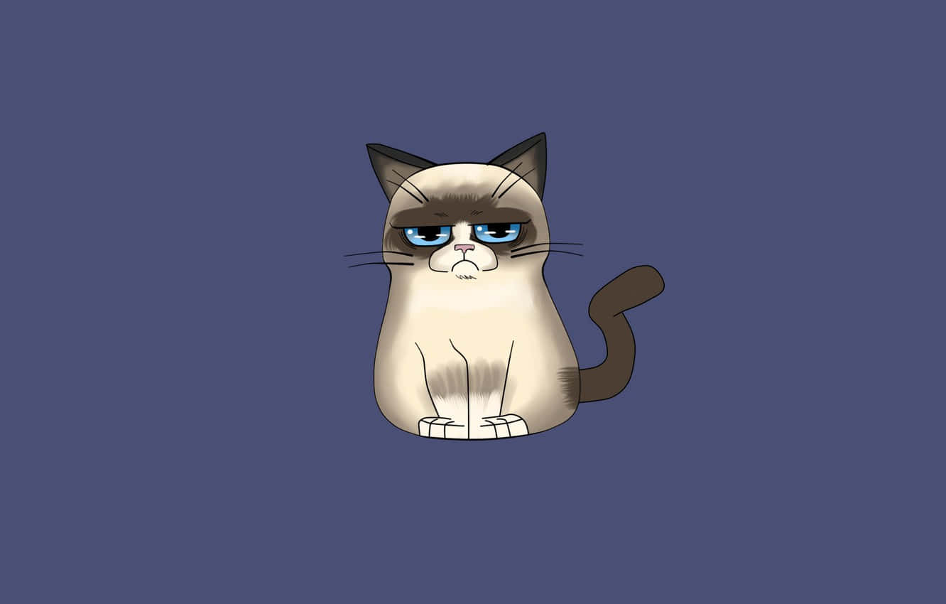 The Grumpy Cat Phenomenon: Her Famous Frown Has Won The Internet's Heart Wallpaper