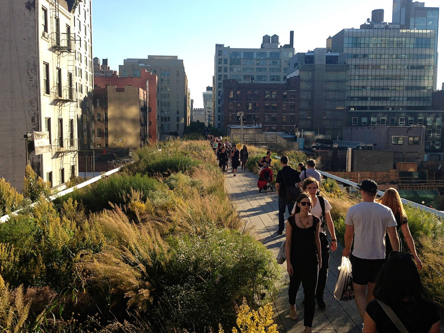 The High Line In Sunny Weather Wallpaper