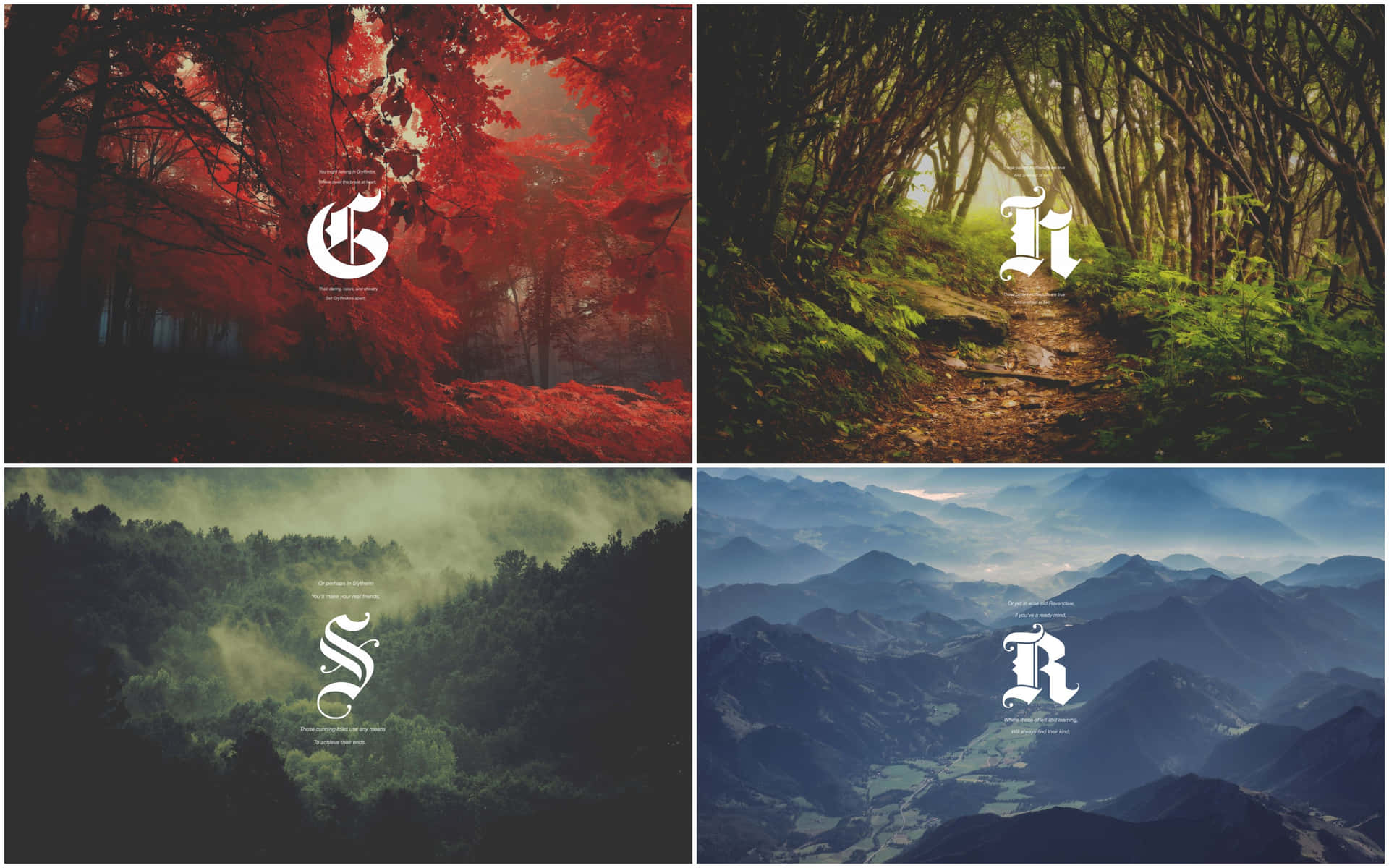 Representing the 4 Houses of Hogwarts Wallpaper